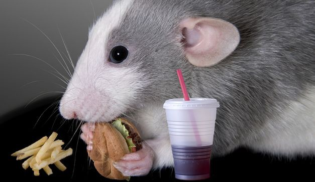 user avatar image for Phantom 