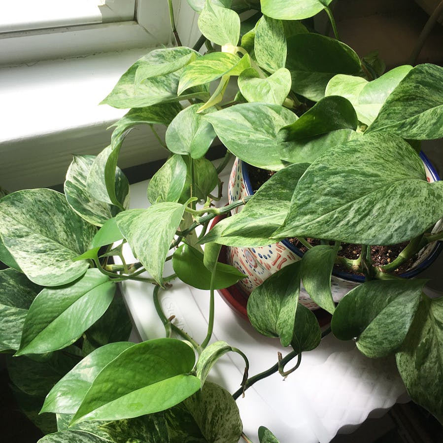 user avatar image for Eliza