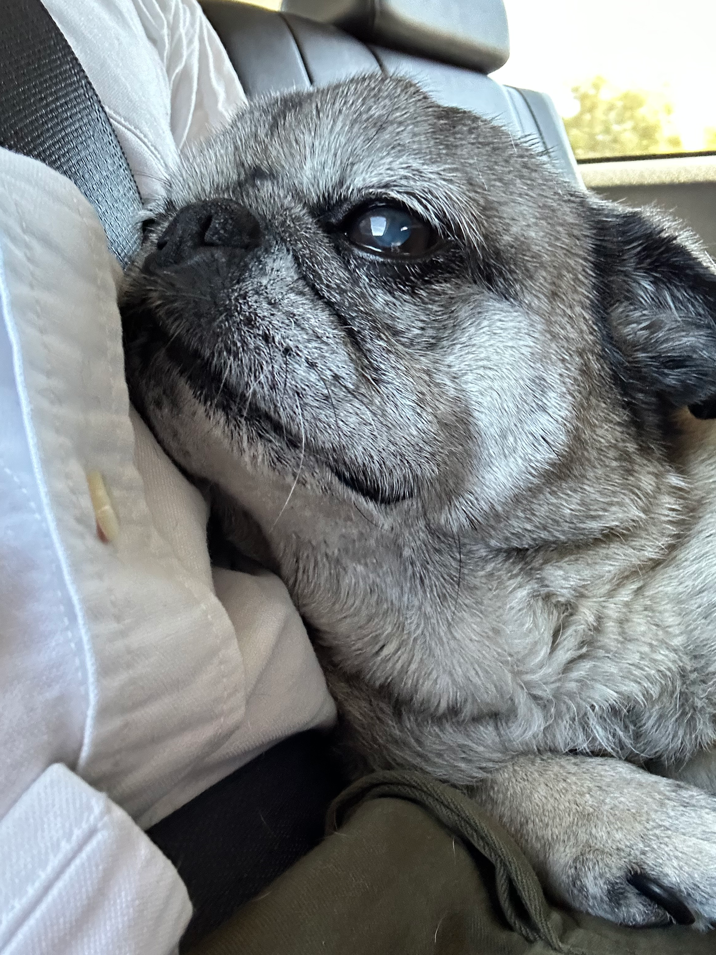 user avatar image for Stefan Bloom