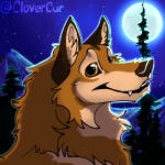 user avatar image for LoboSong