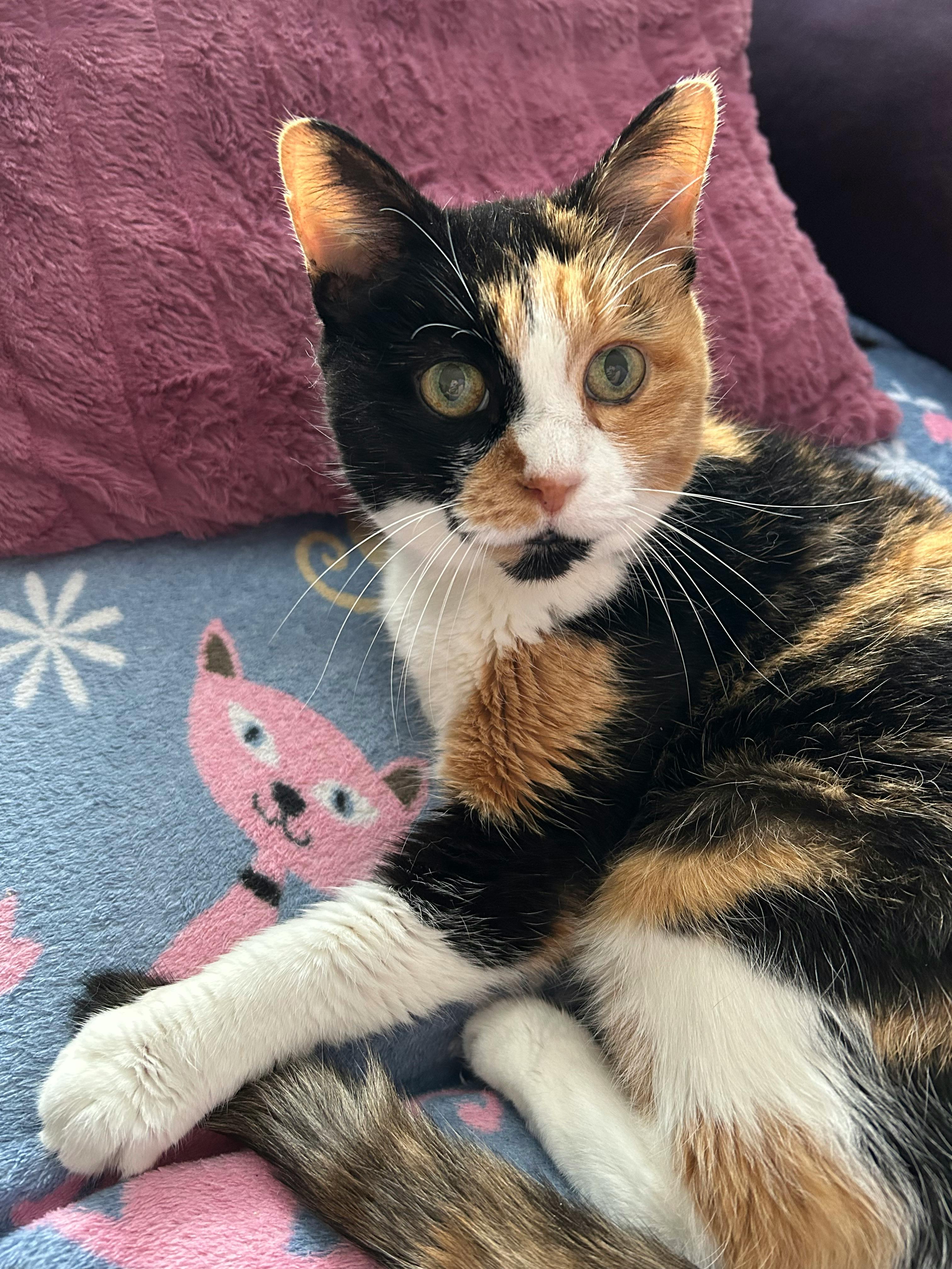 user avatar image for Meghan