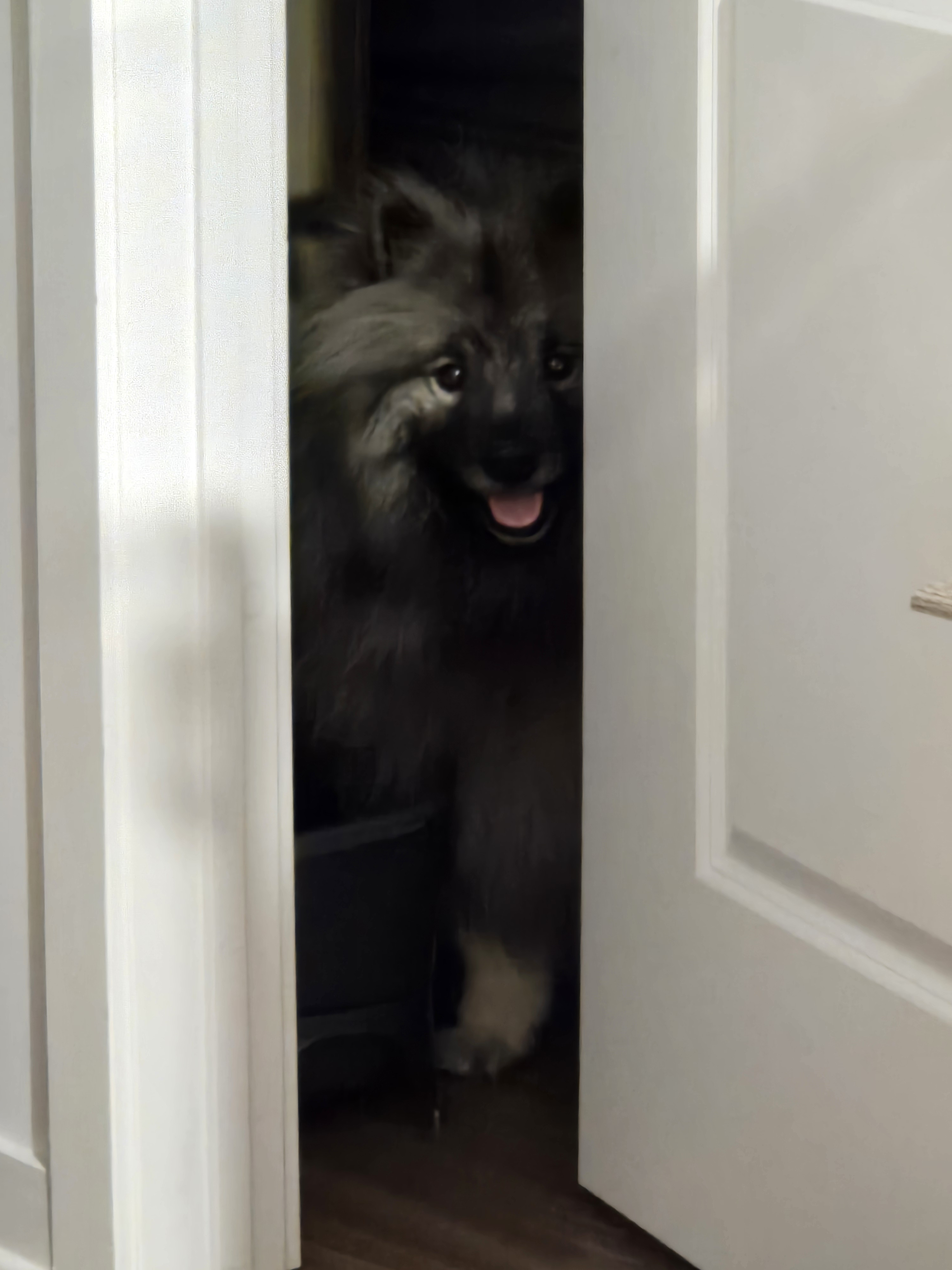 user avatar image for Mindy