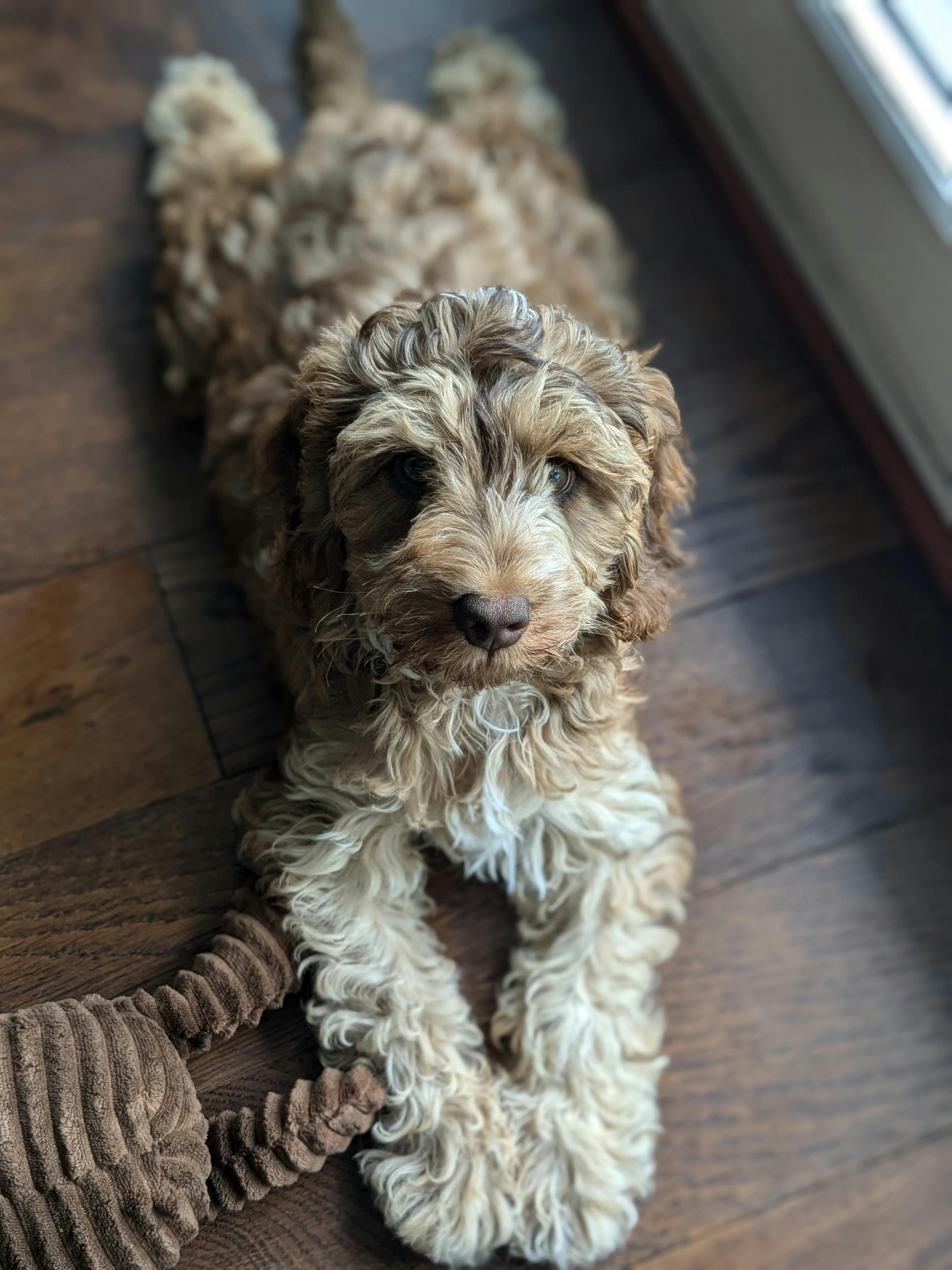 user avatar image for Emma van der Velden