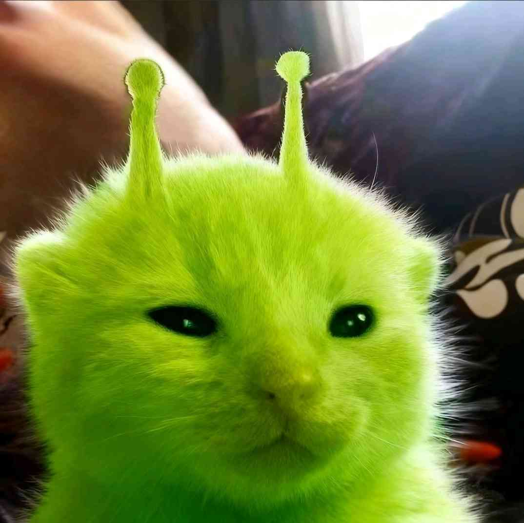 user avatar image for Port