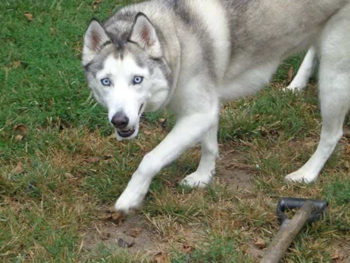 user avatar image for WollenzienW