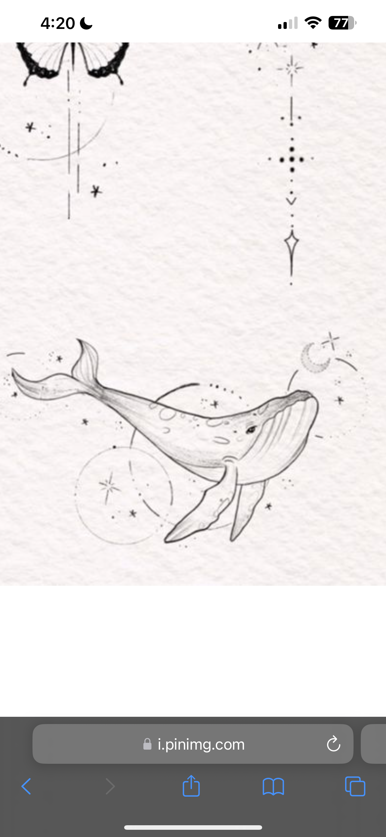 user avatar image for Natalie 