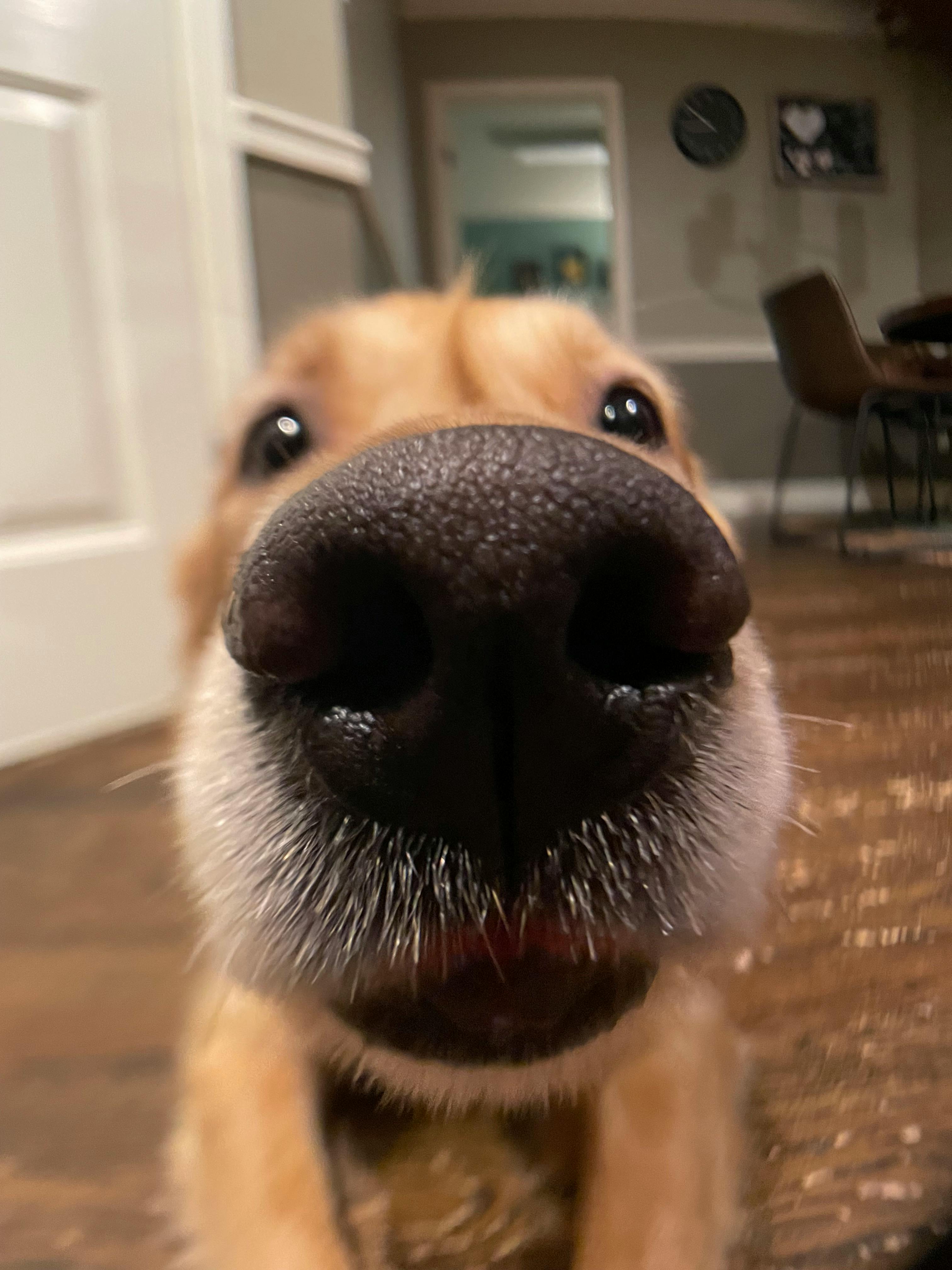 user avatar image for Nicole