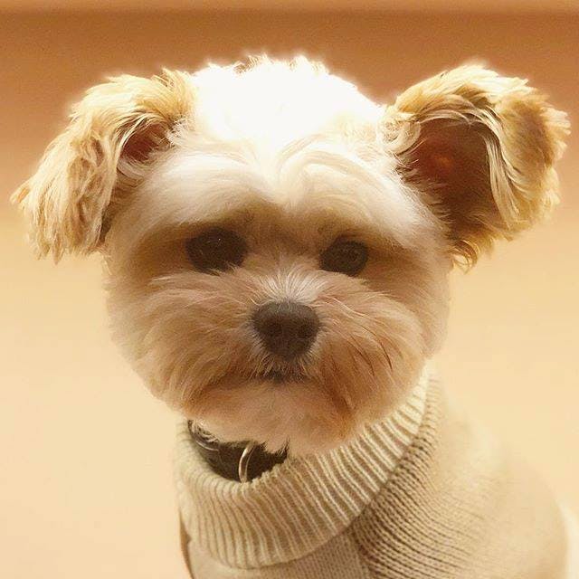 user avatar image for Morgan Tenhouse