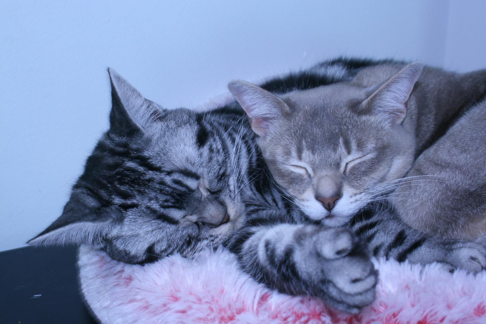 user avatar image for Terra-Fy