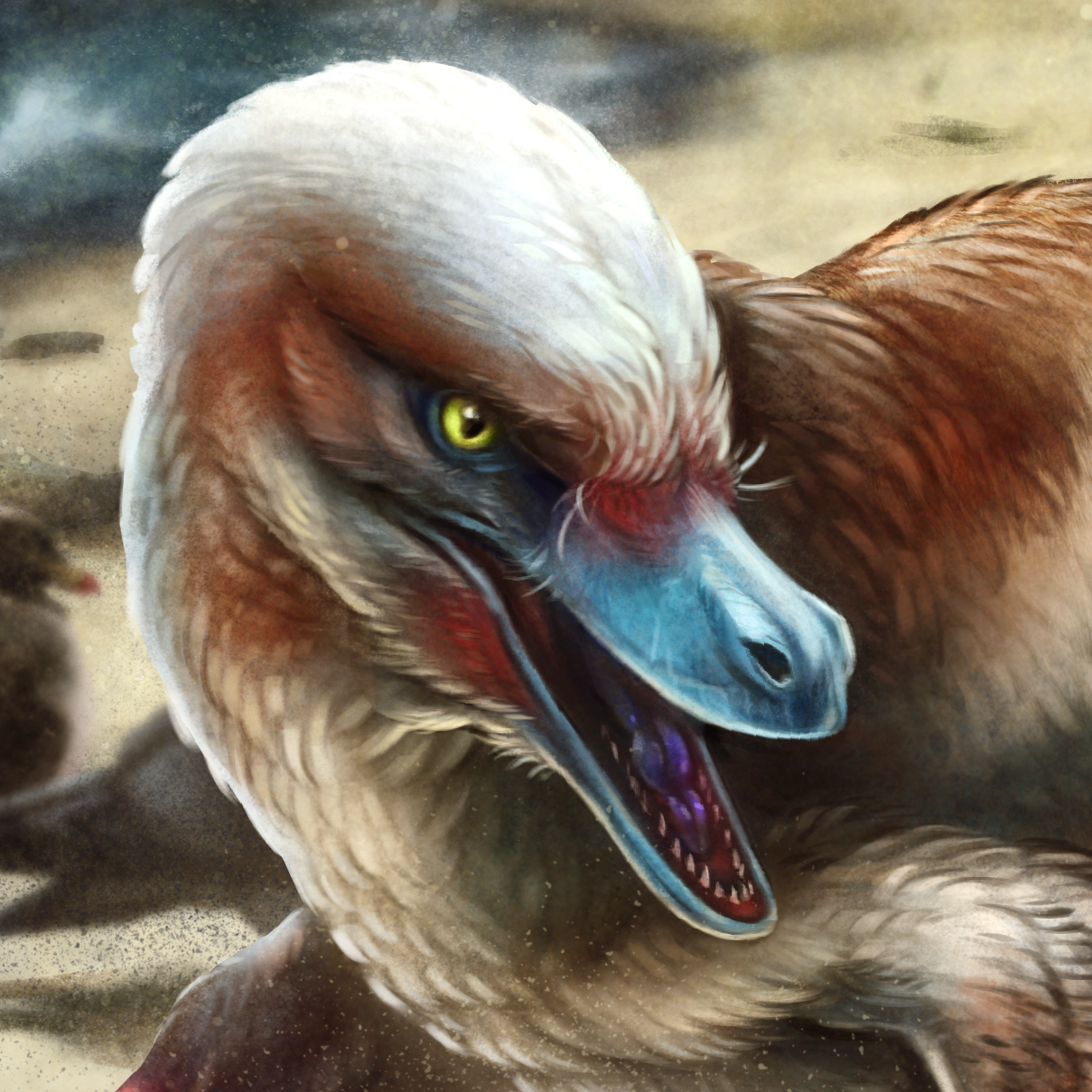 user avatar image for Beau