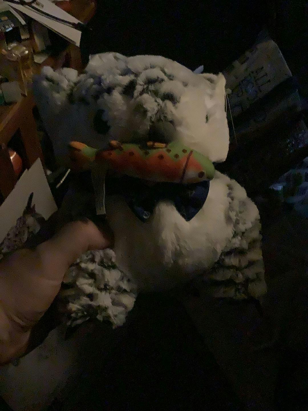 user avatar image for Matthew Feagins