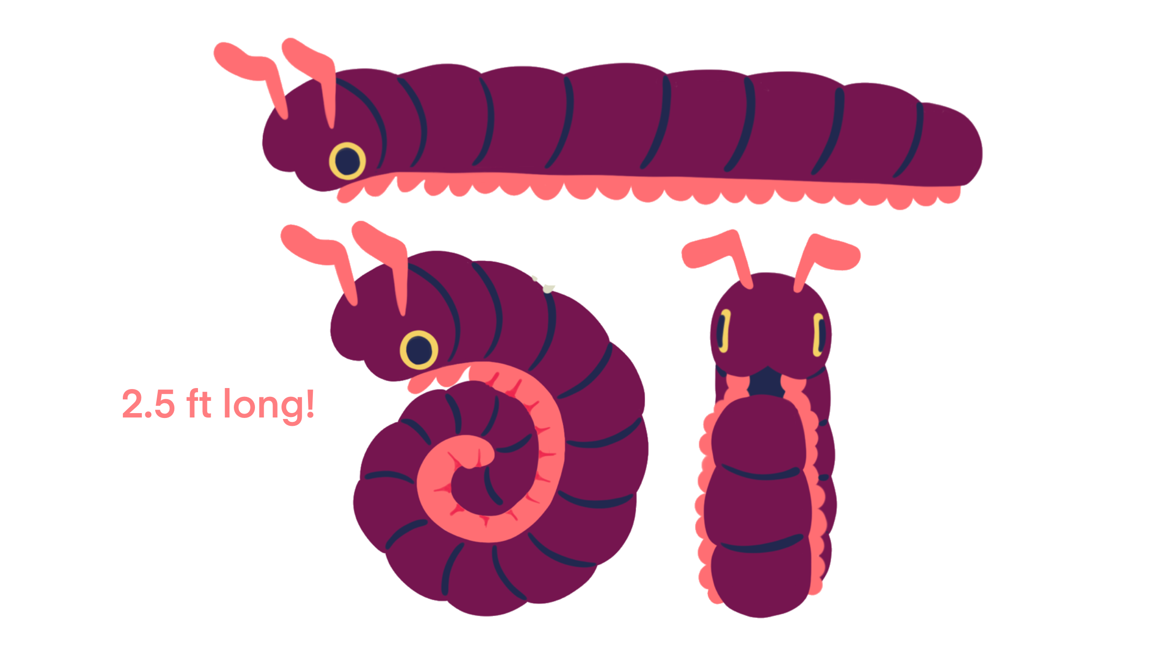 Unlock Millipede Plush at $54,000