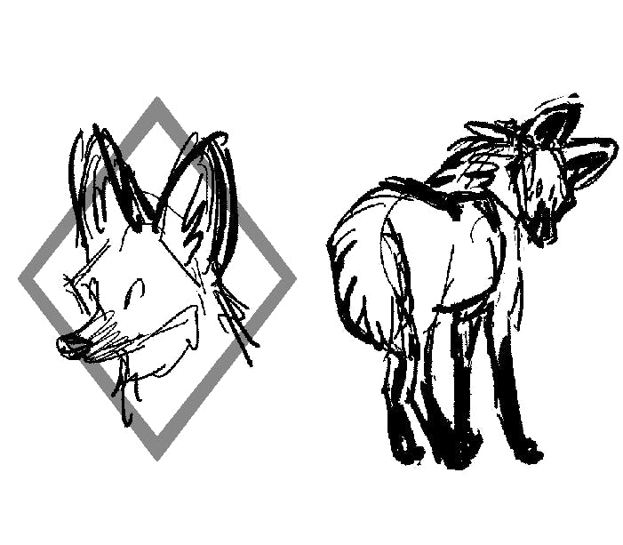 Maned wolf