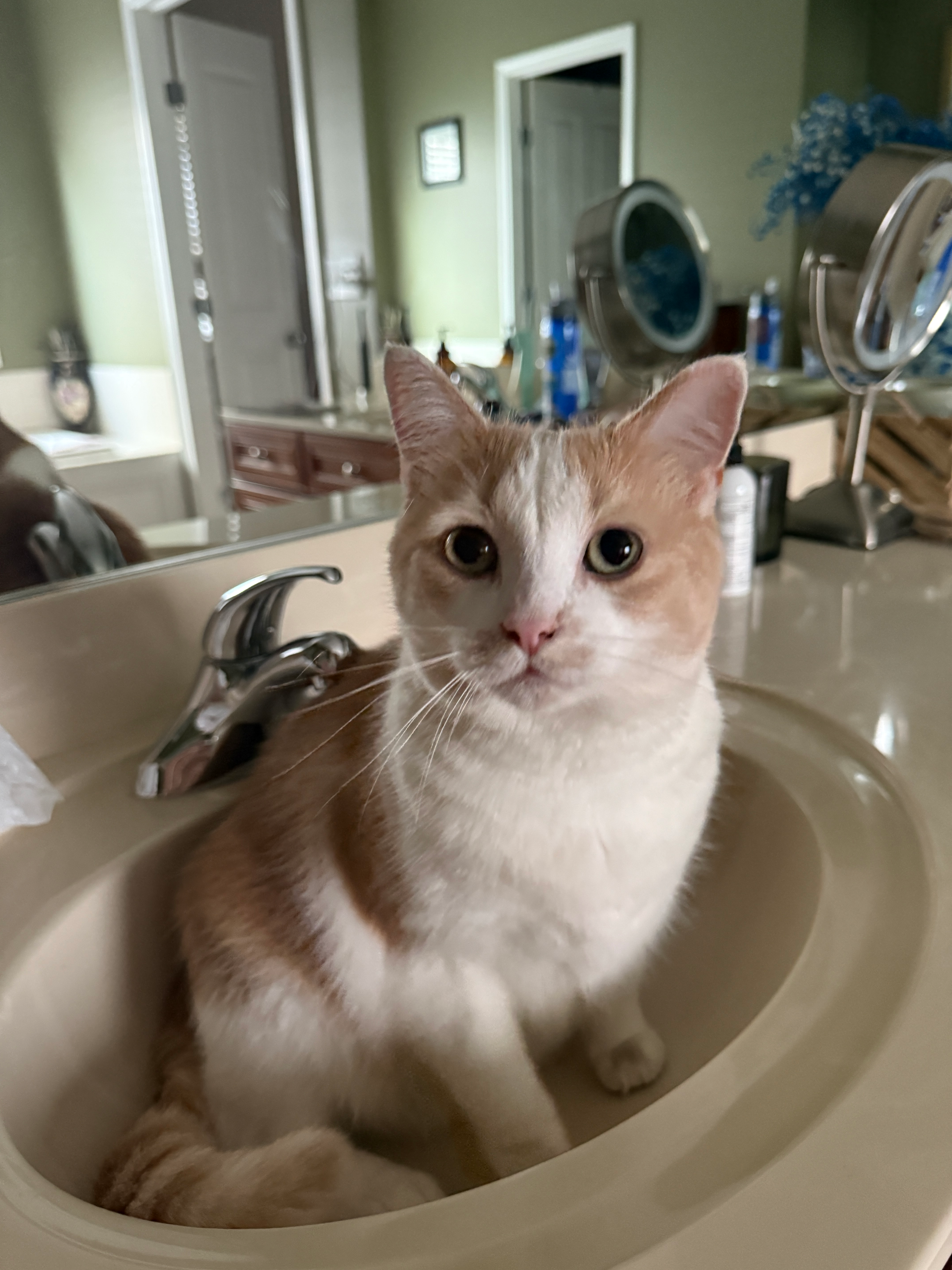 user avatar image for ChrisNotARockMonster