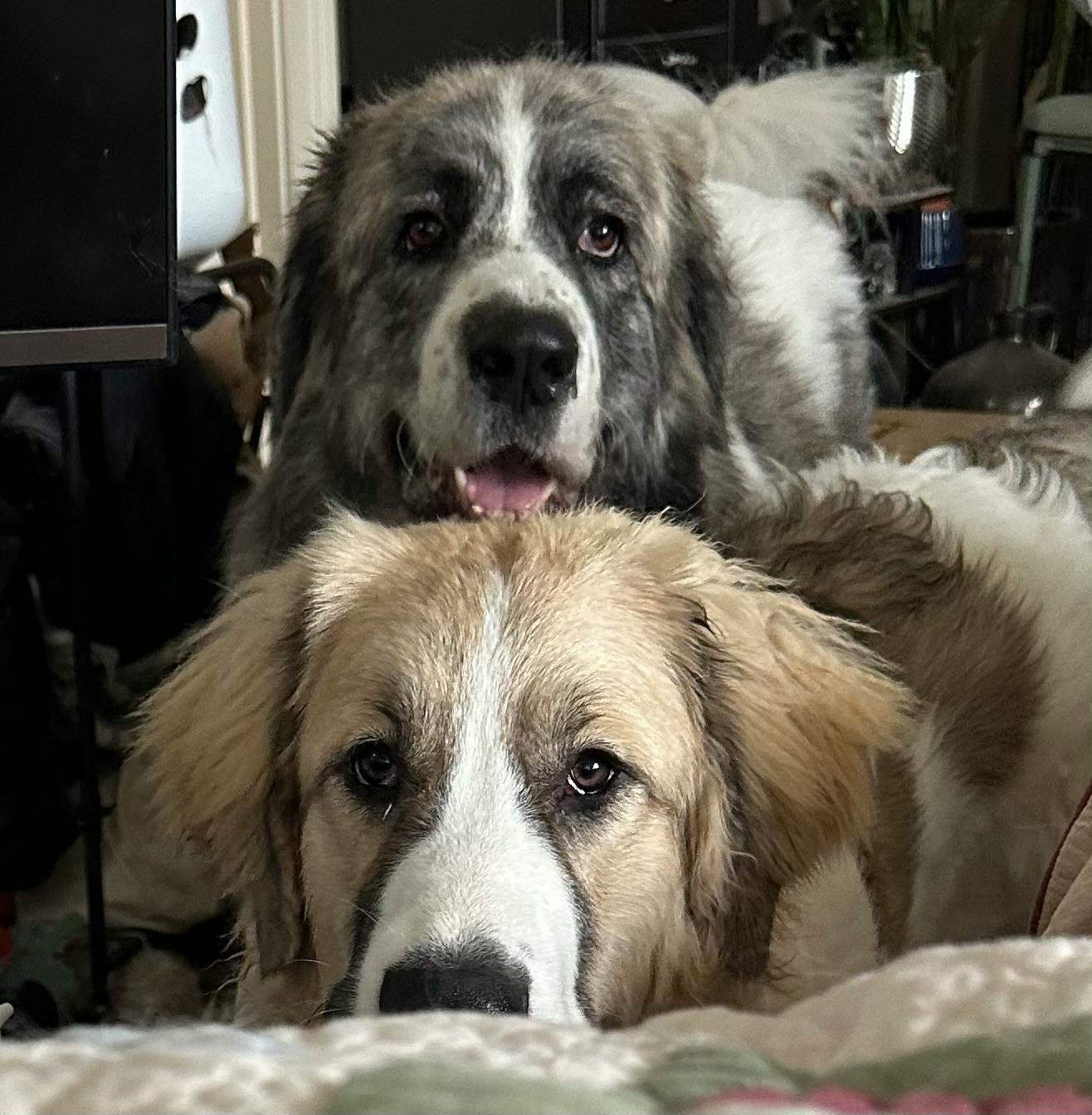 user avatar image for Christine