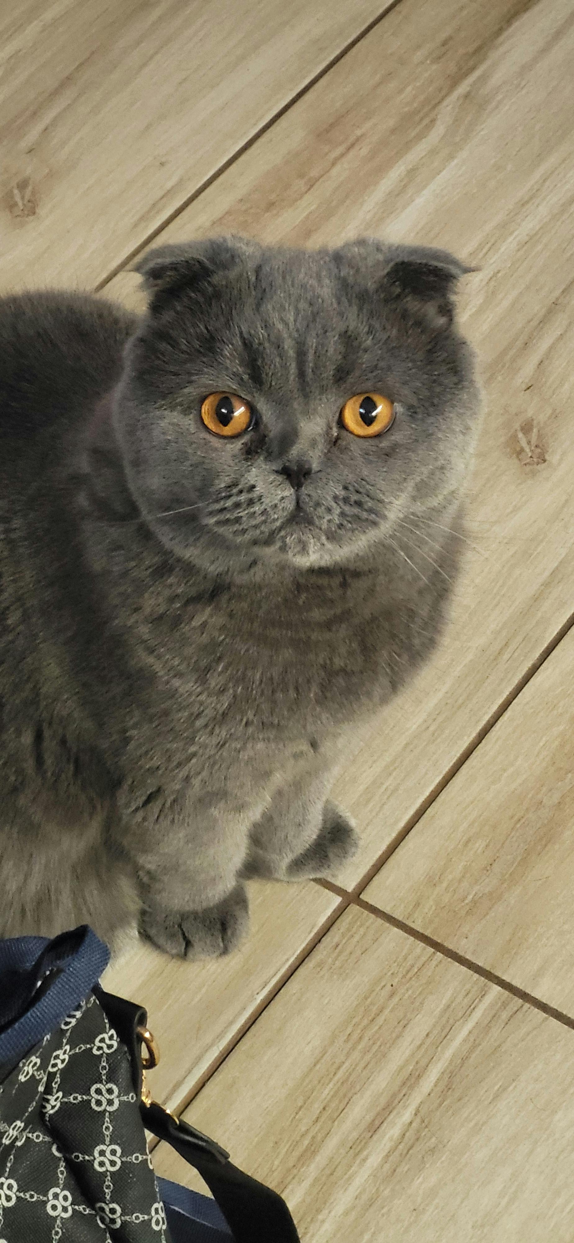 user avatar image for Urbán Dániel Zoltán