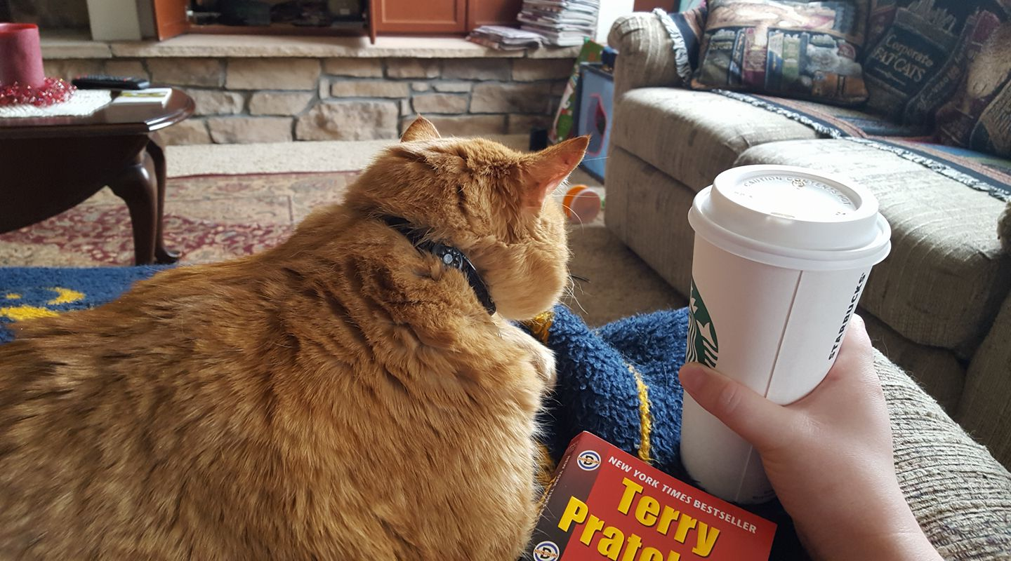 user avatar image for Kaffeina