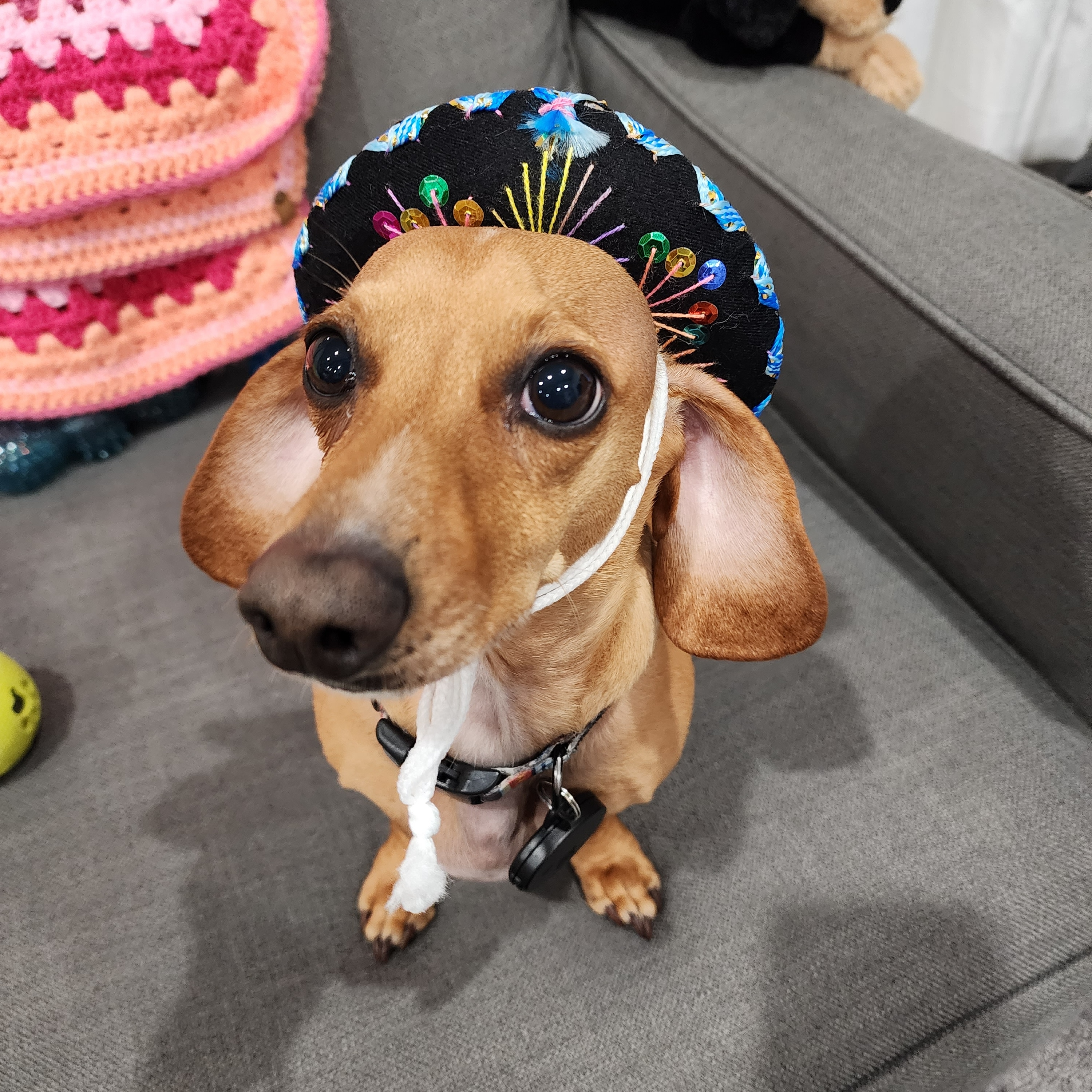 user avatar image for Katy Young