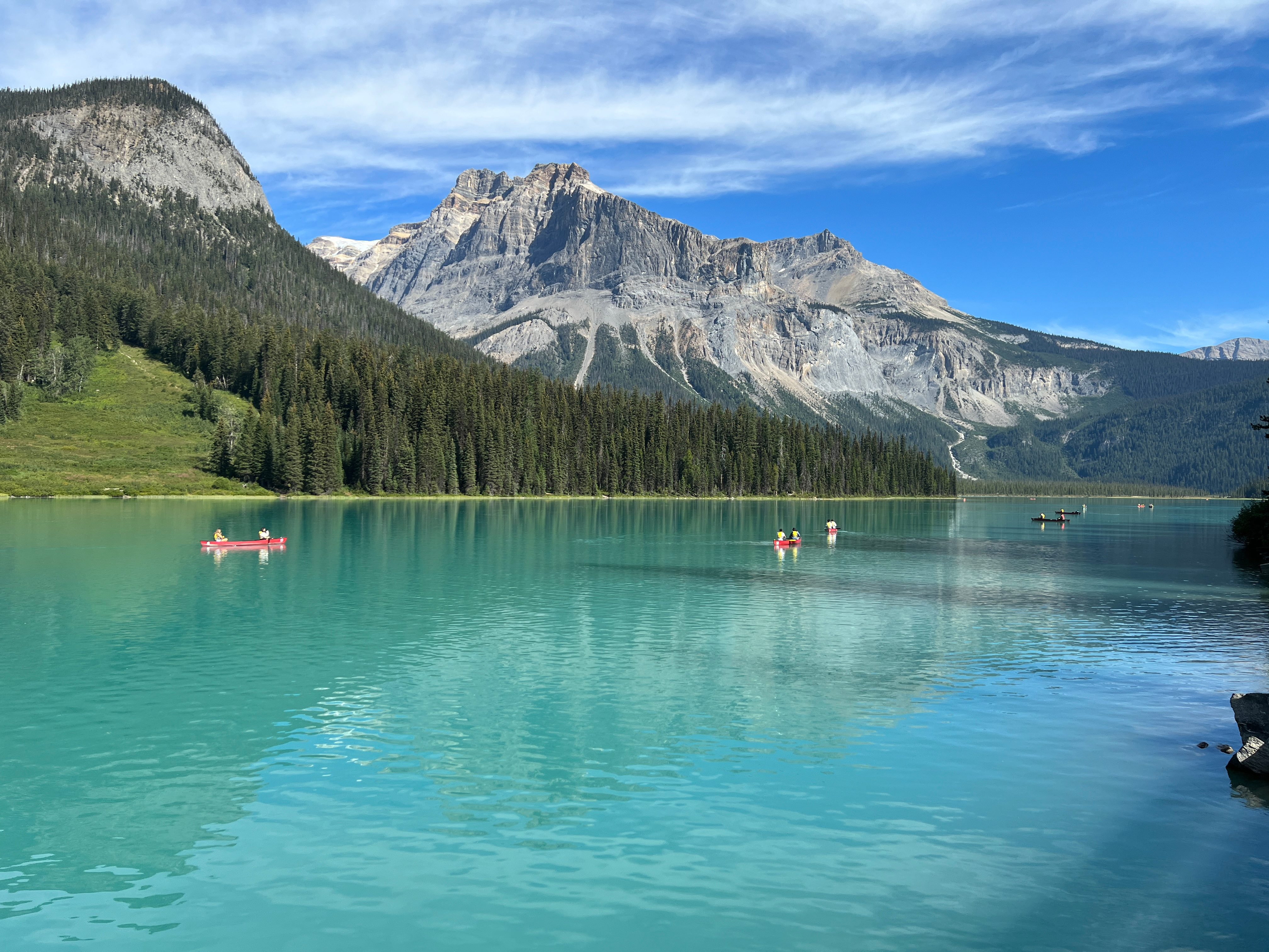 user avatar image for SnootchtodaNooch