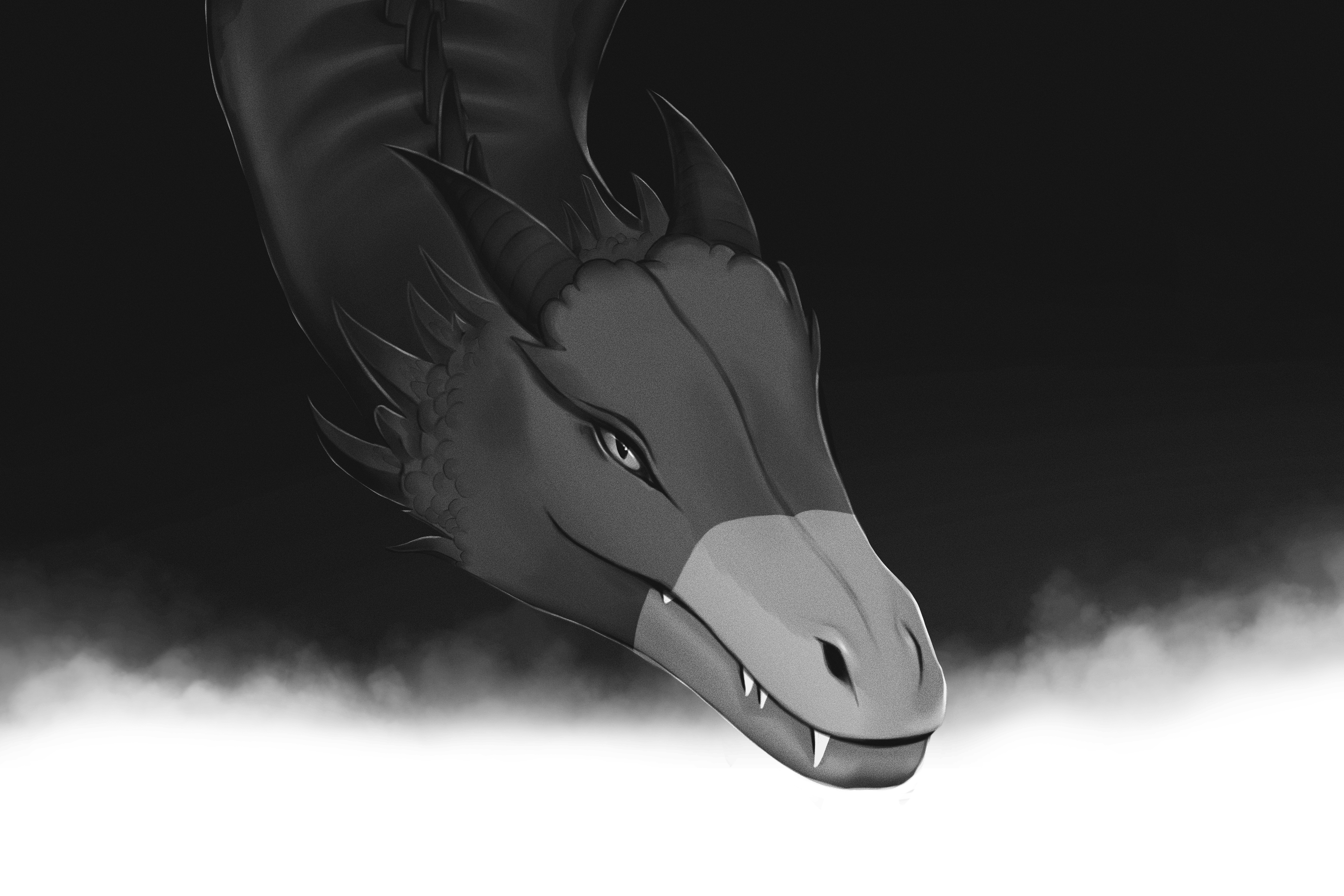 Dragon in the Shadow