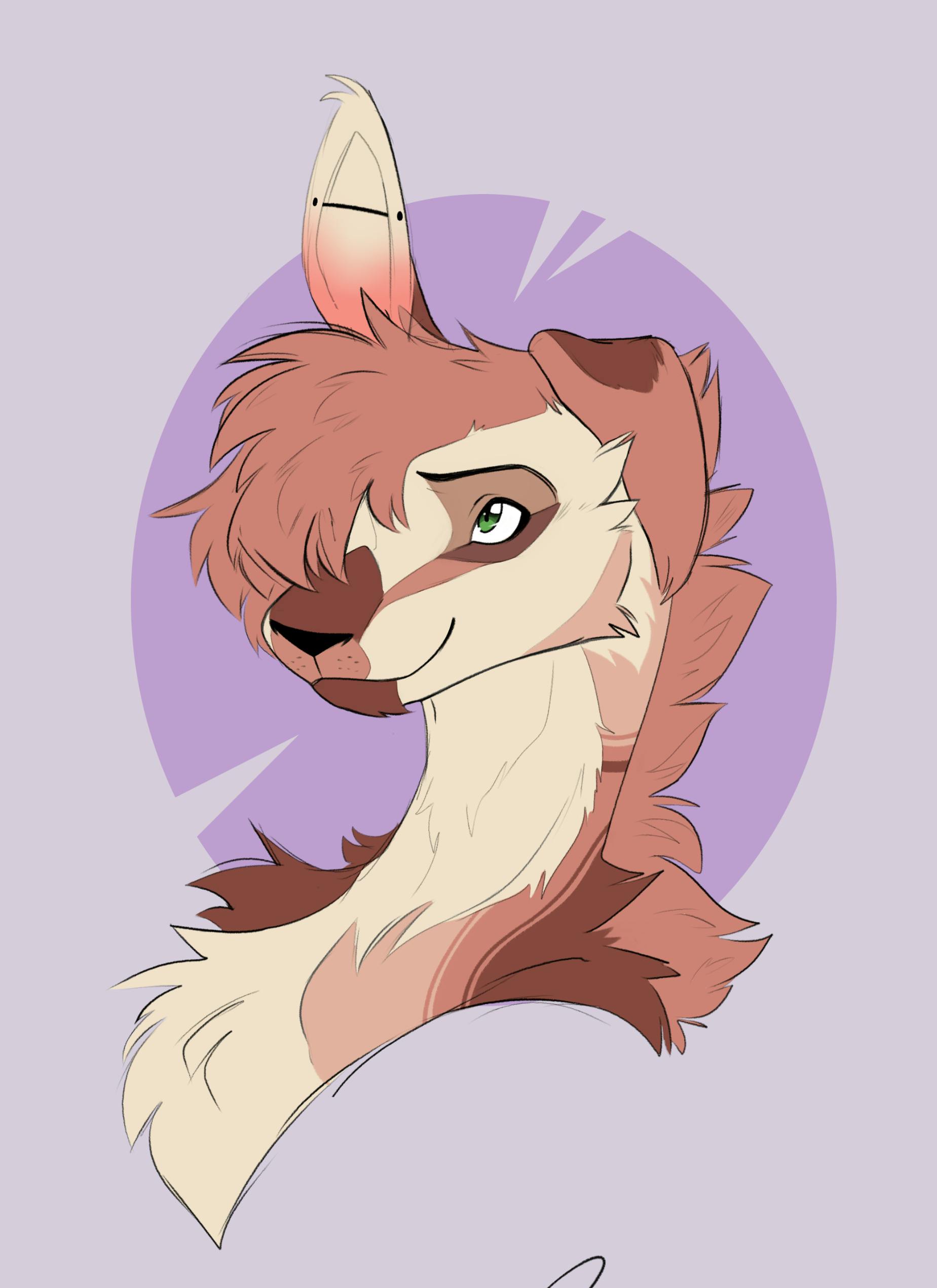 user avatar image for Aido