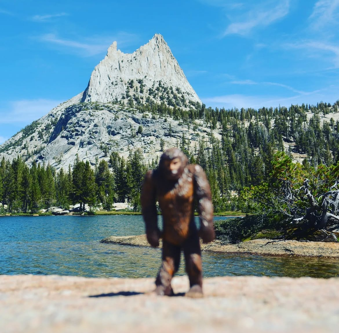 user avatar image for Joseph Scott Martin