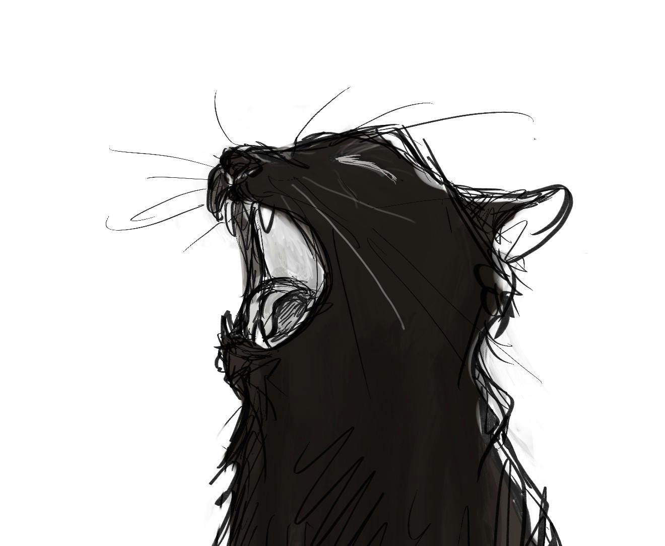 user avatar image for t