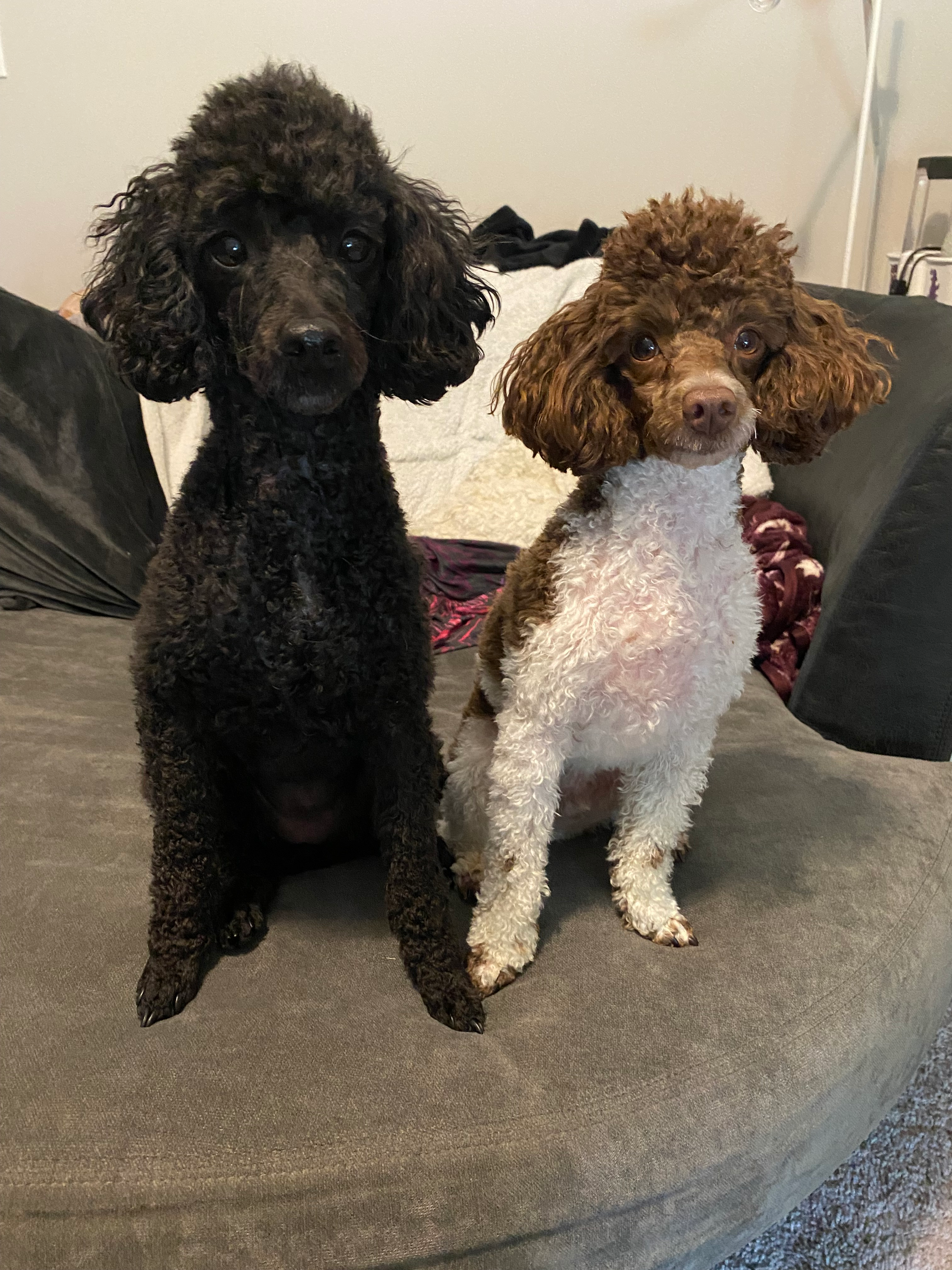 user avatar image for Chloe