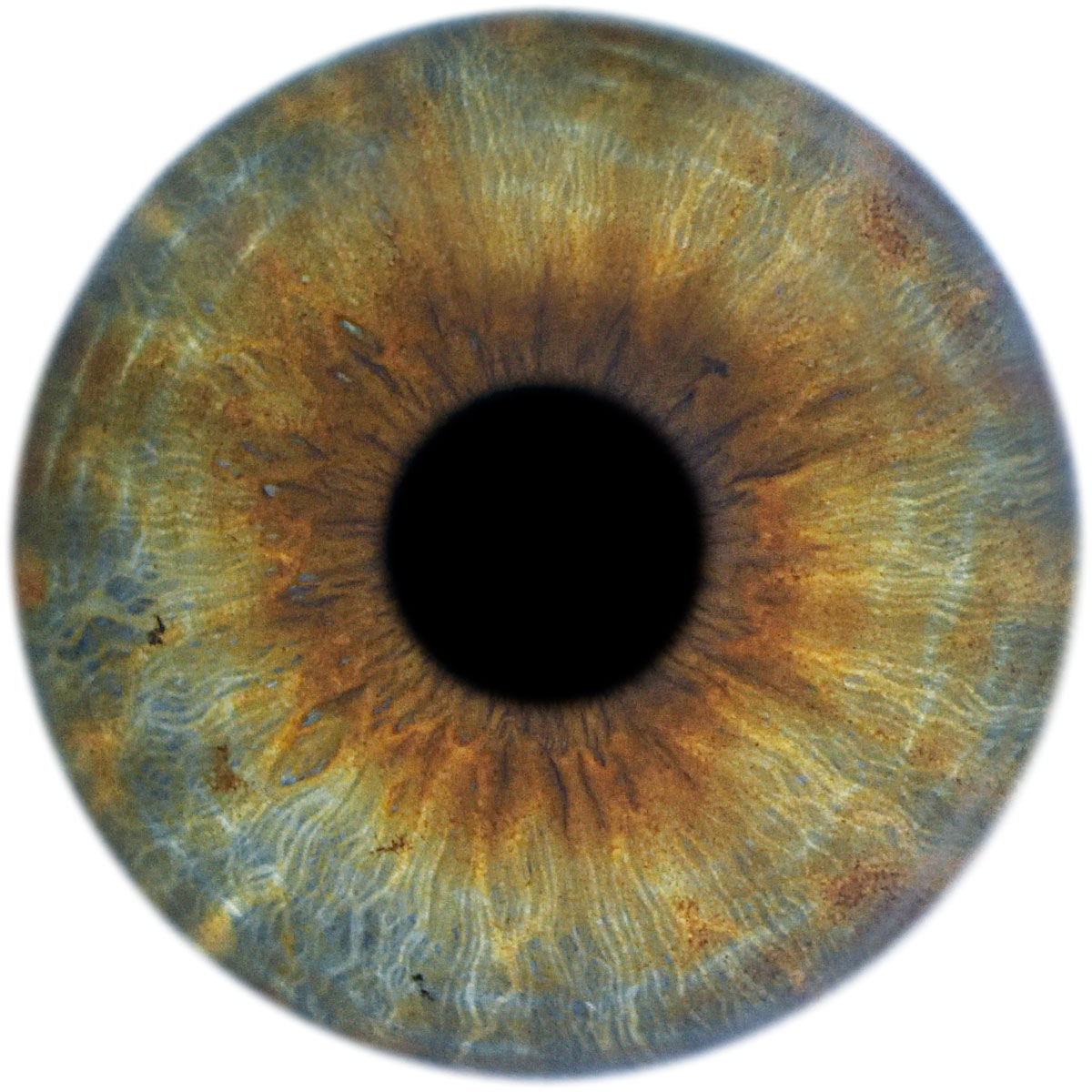 user avatar image for Marzia 