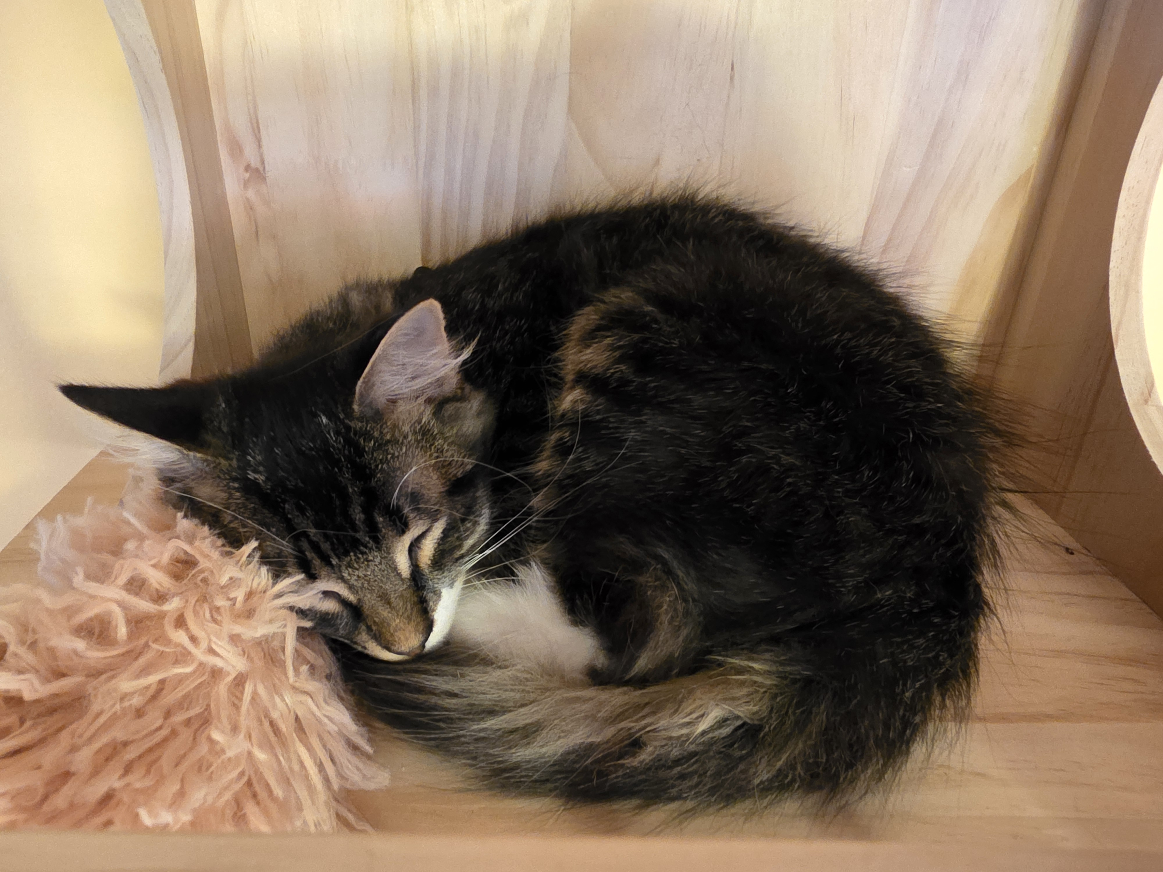 user avatar image for Brian