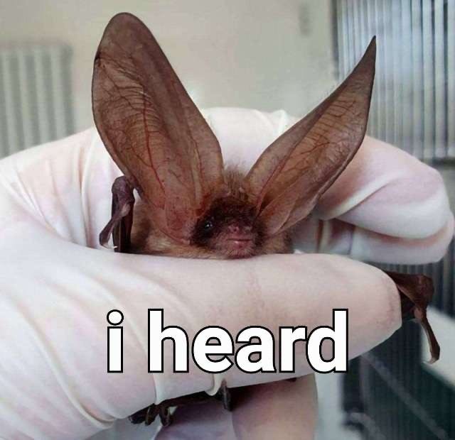 user avatar image for gracie