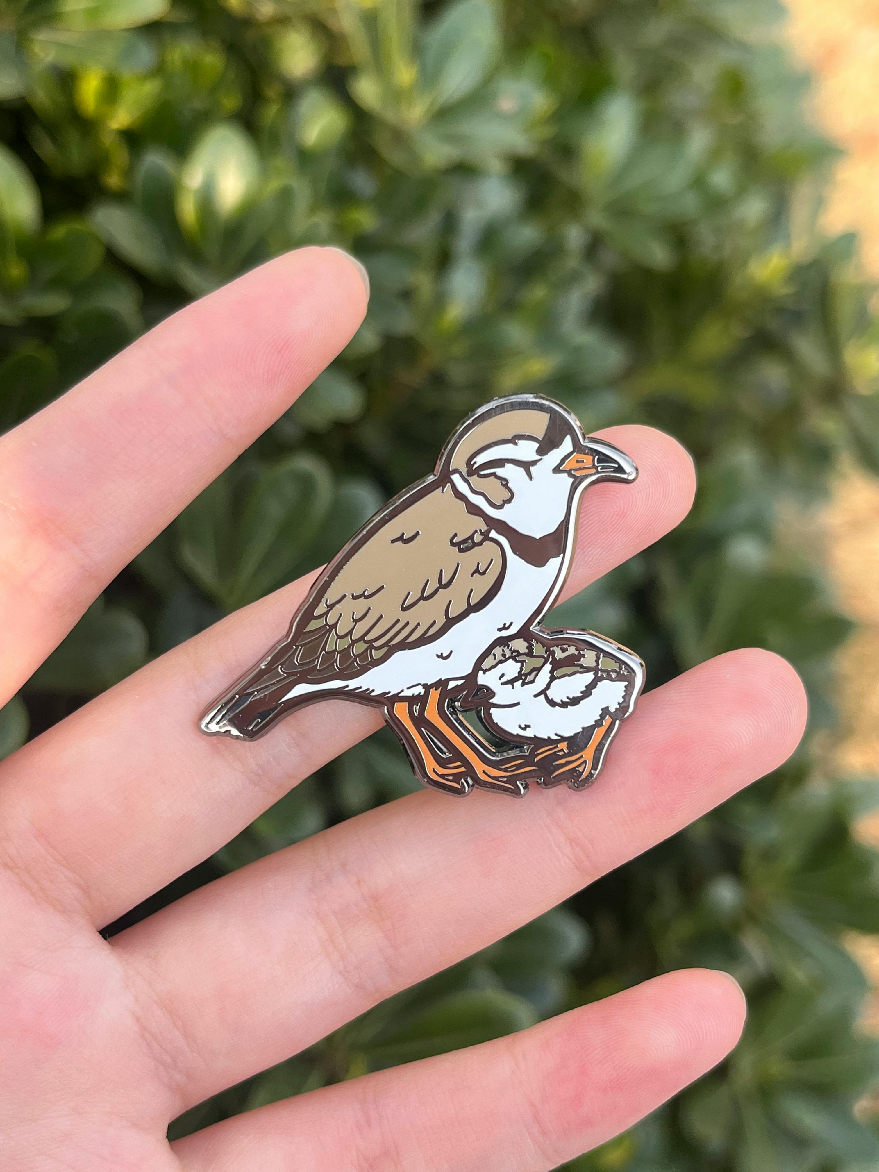 Pipping Plover