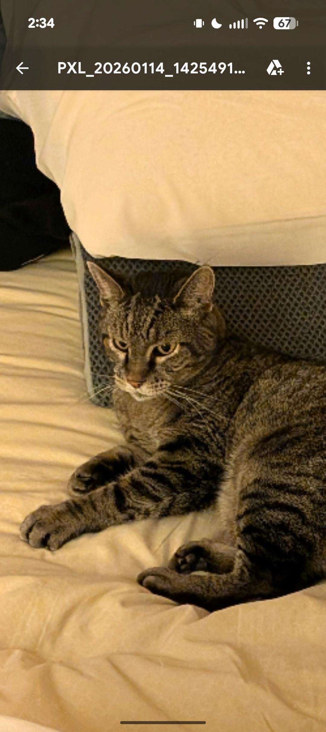 user avatar image for Nerdofnerds