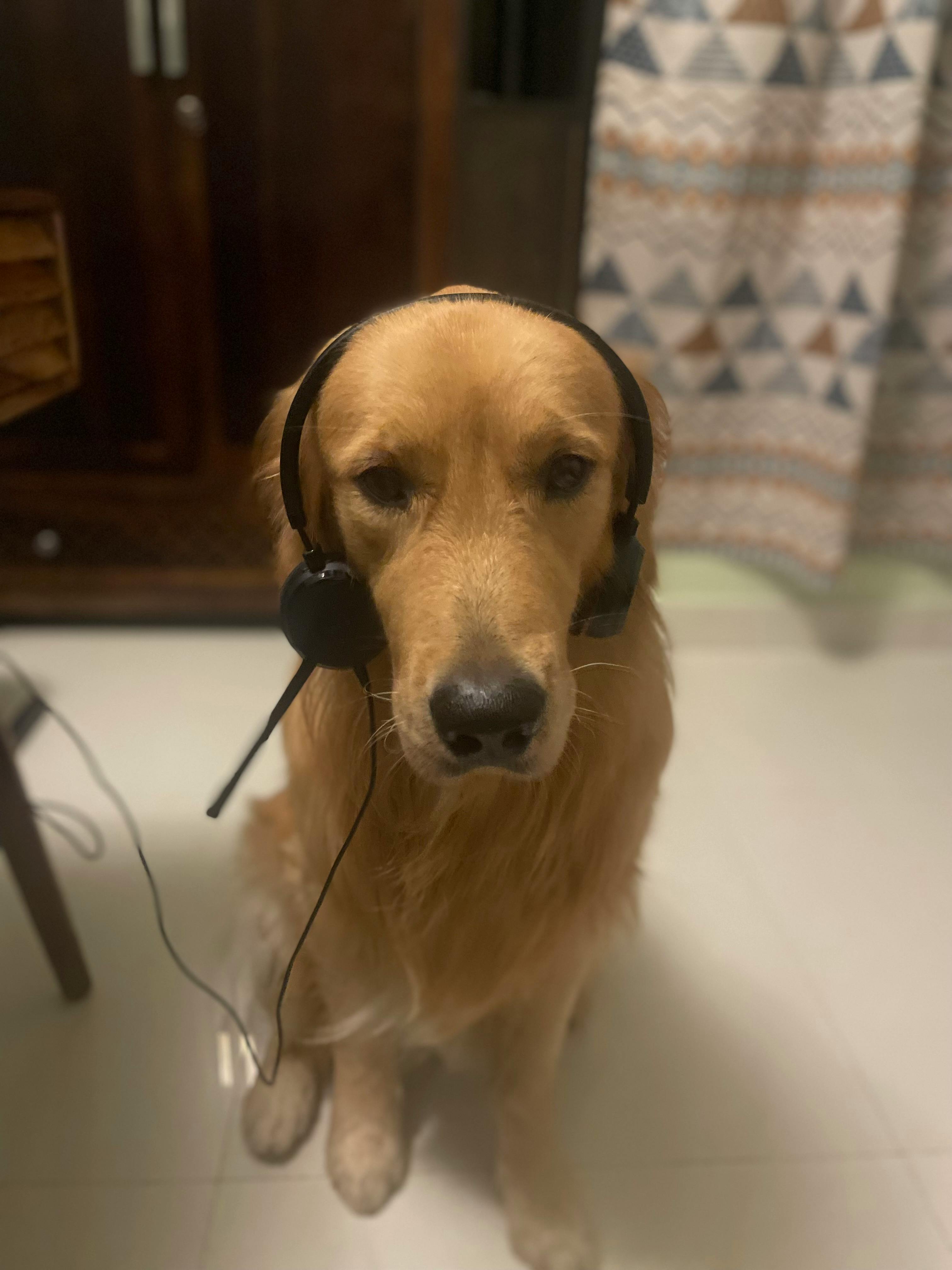 user avatar image for DK