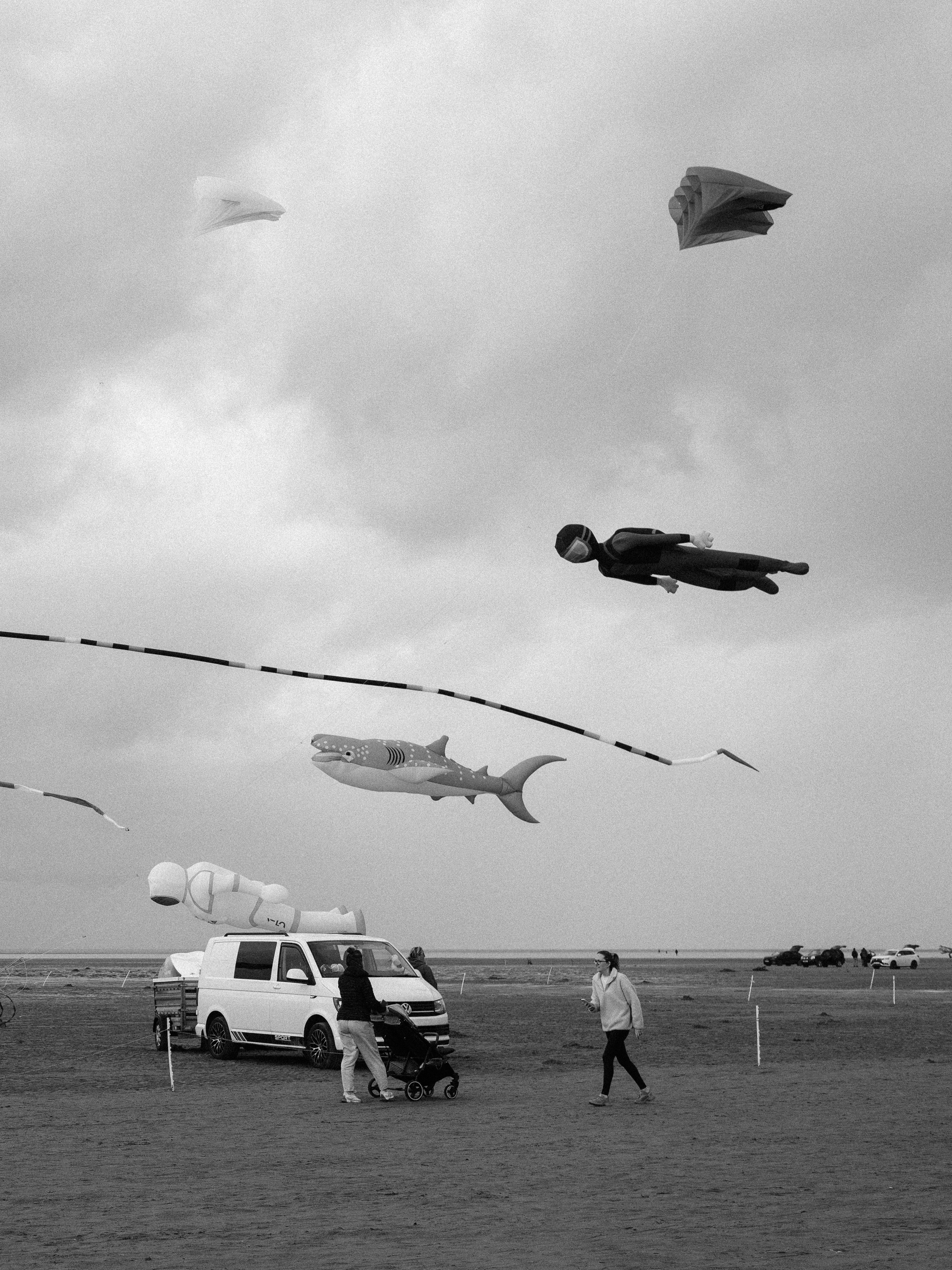 user avatar image for Calibre