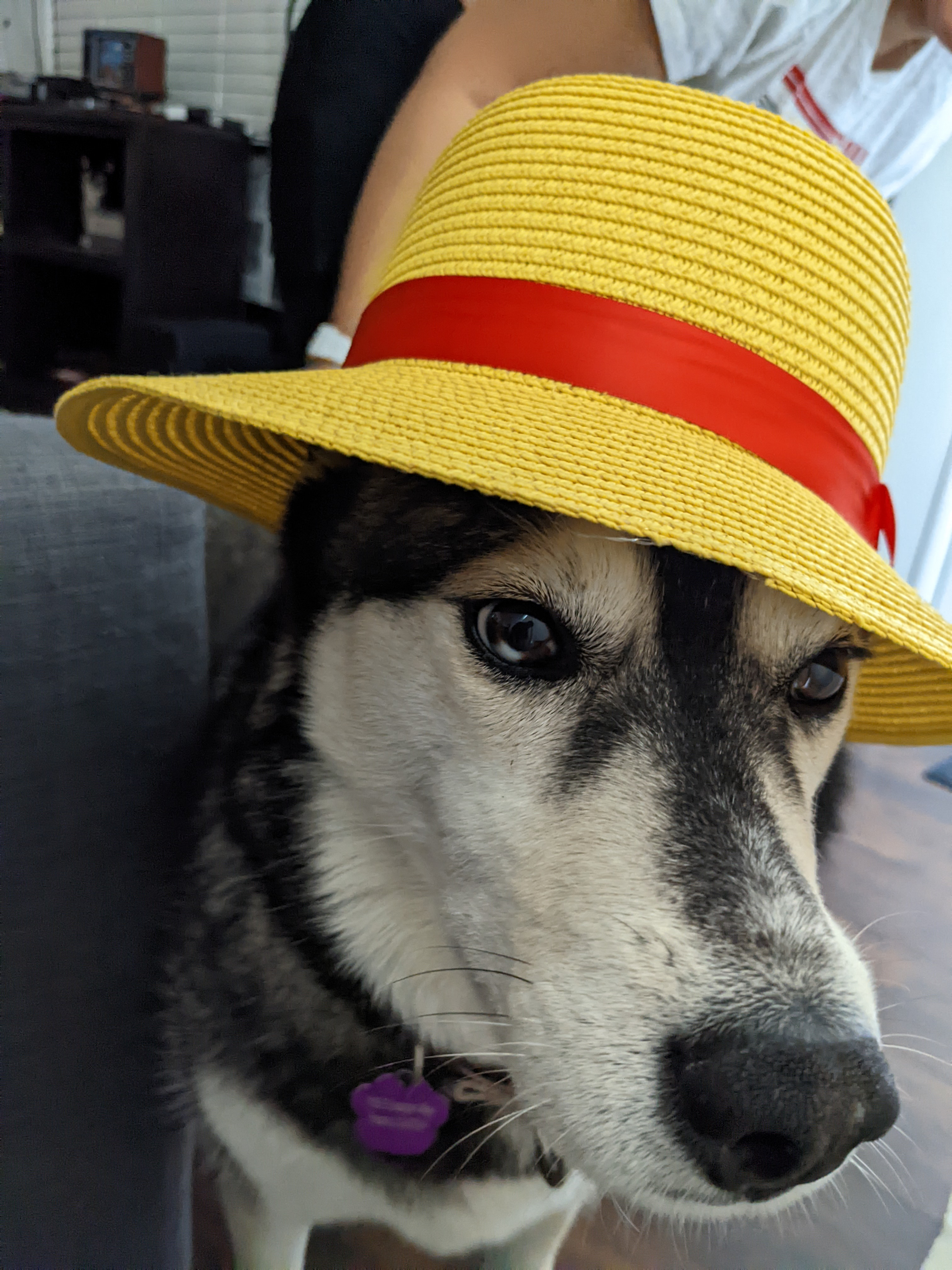 user avatar image for Joaquin