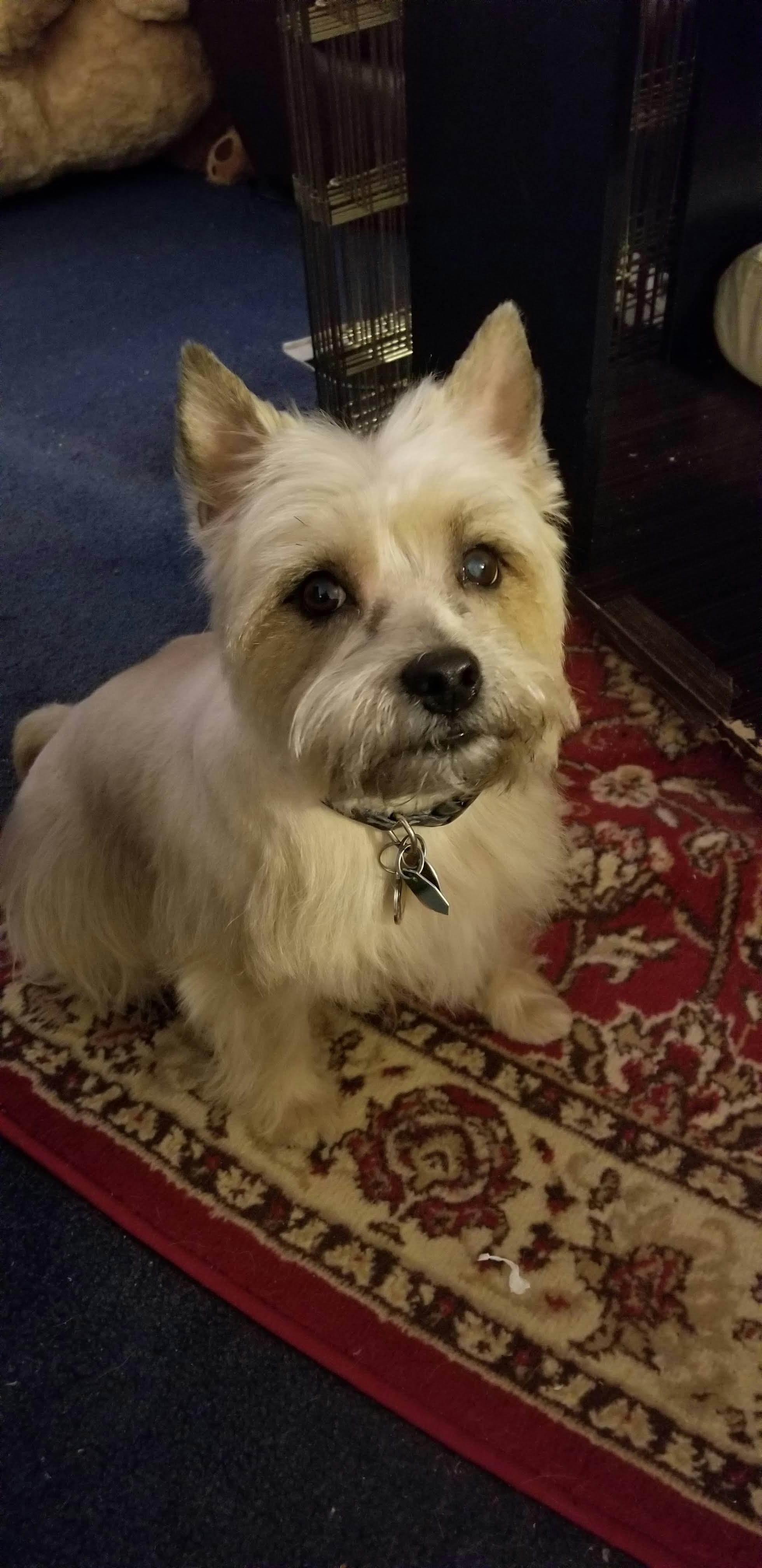 user avatar image for Malthesia