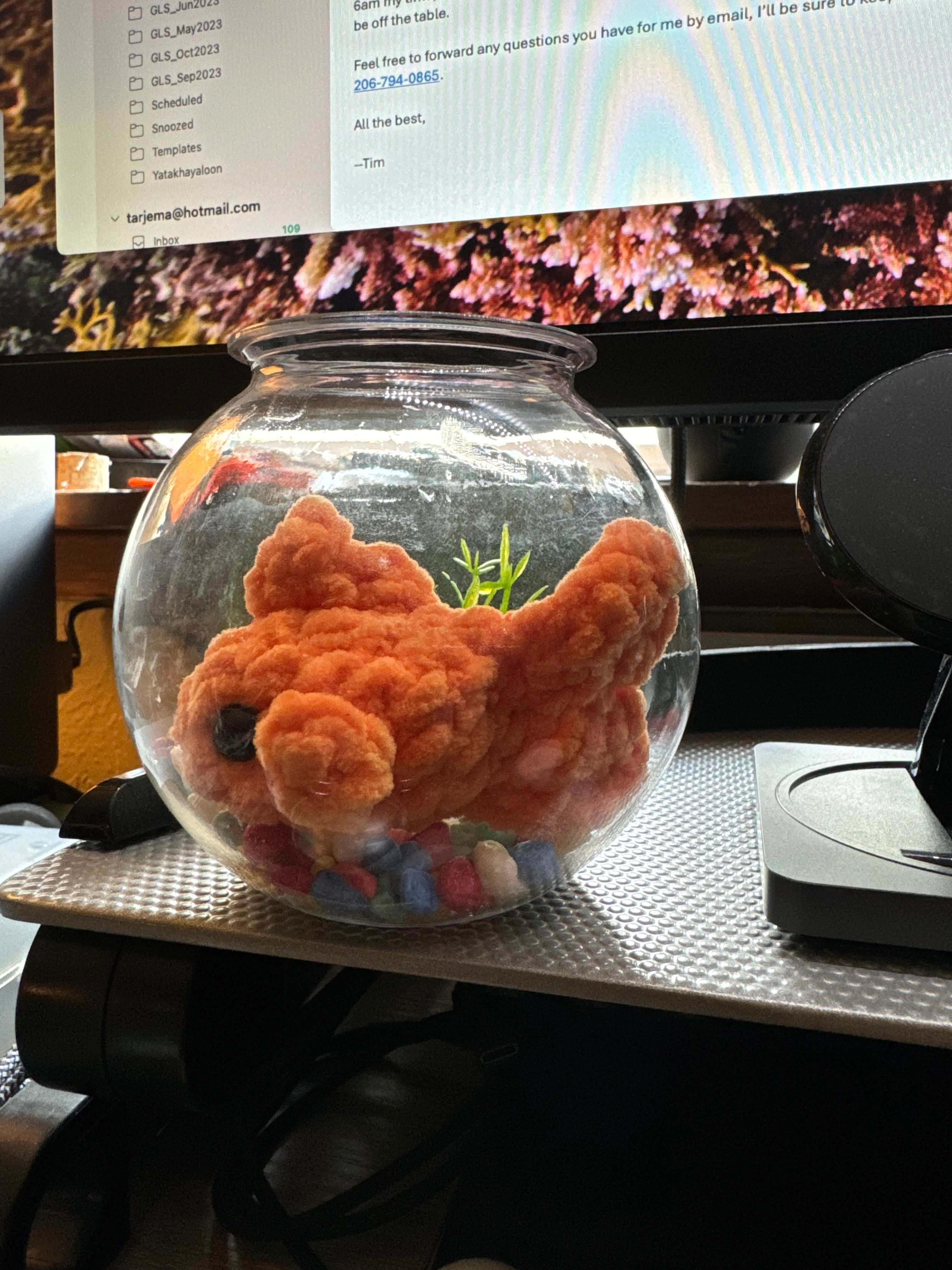 user avatar image for Tim Gregory