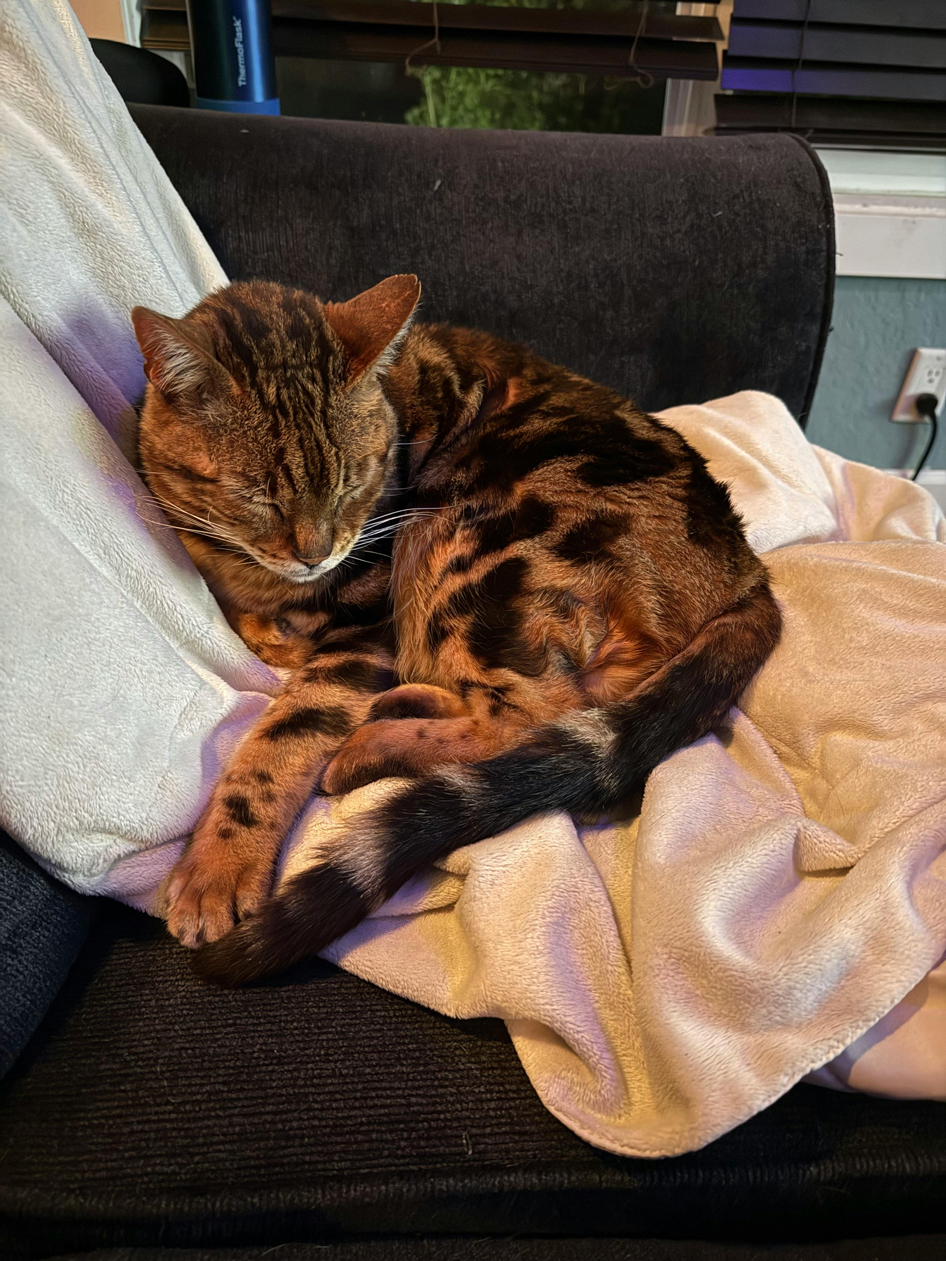 user avatar image for Julie 