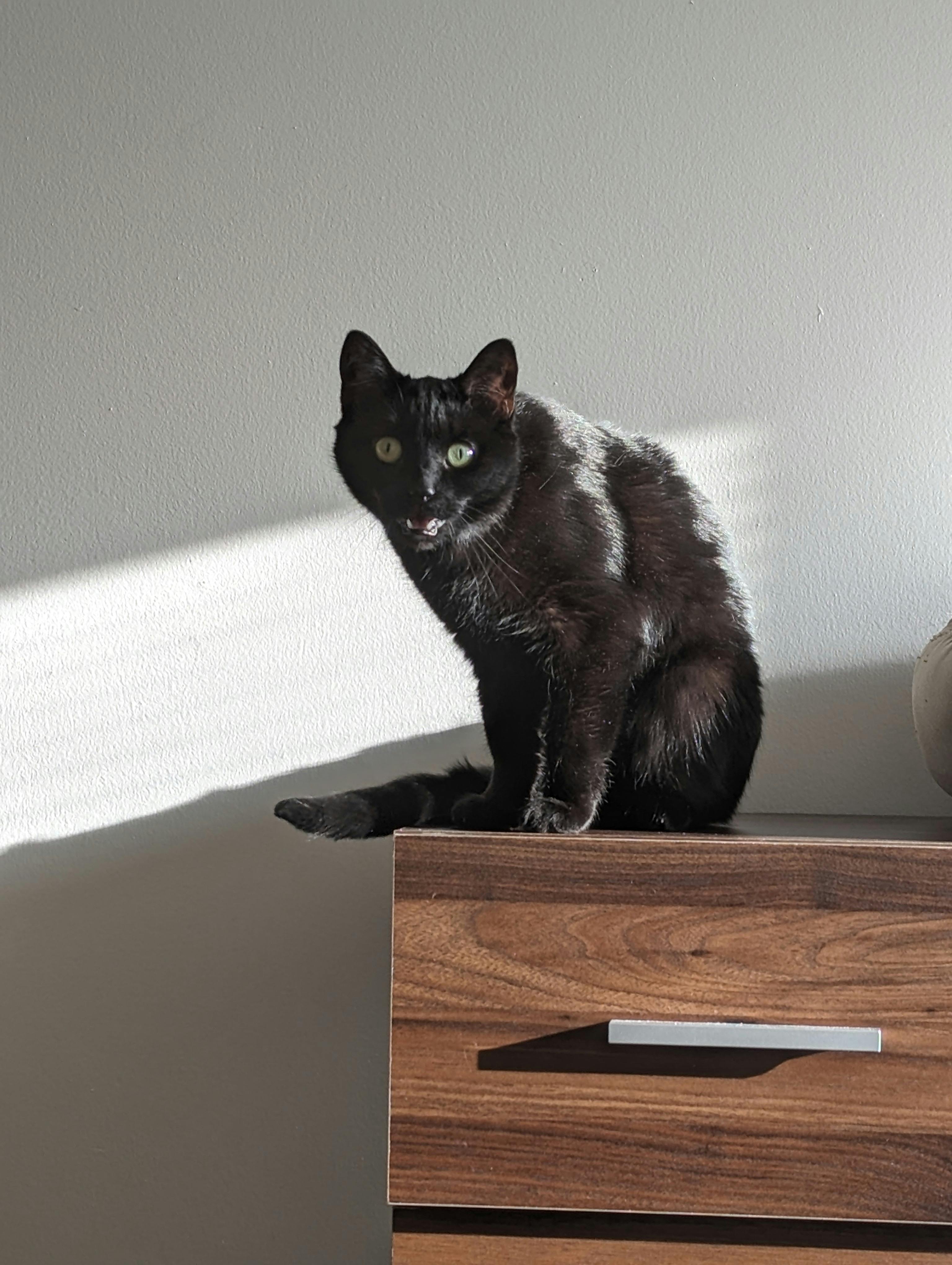 user avatar image for VexVaxVox