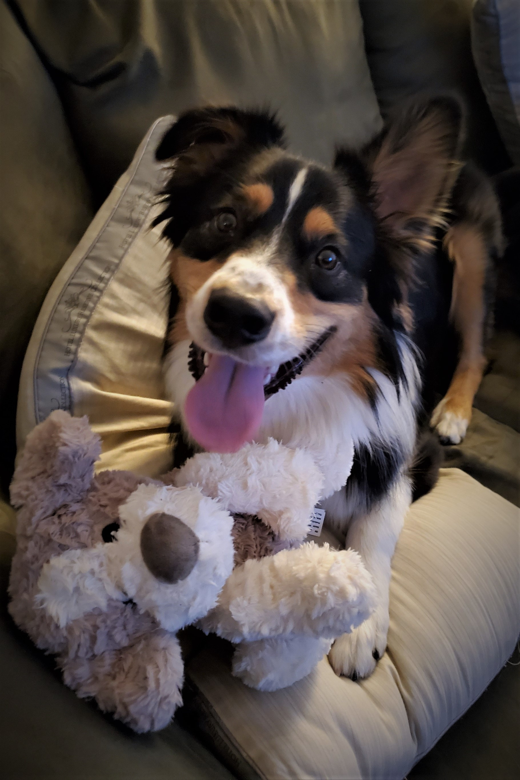 user avatar image for Akatsukininja99