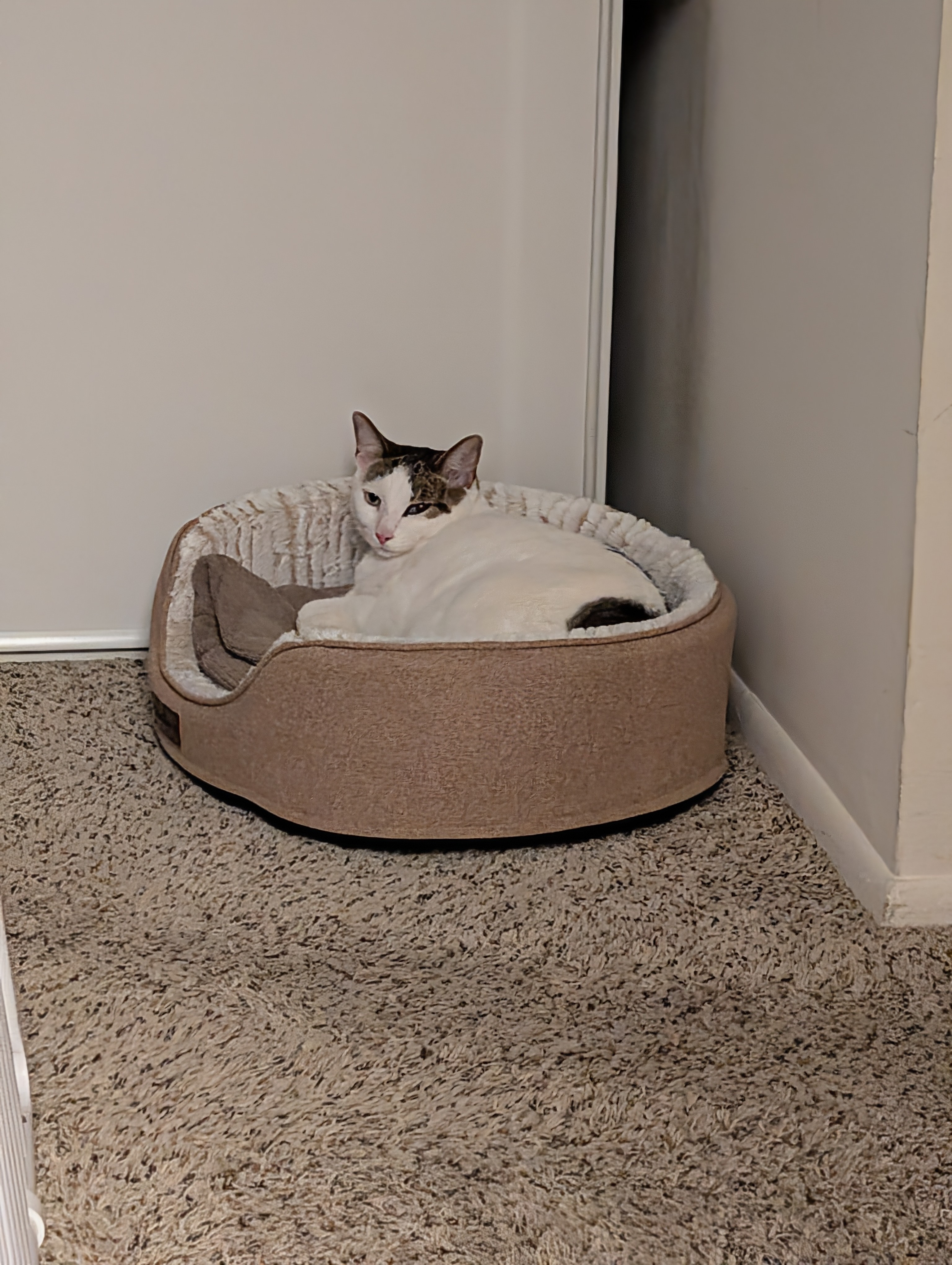 user avatar image for Susan