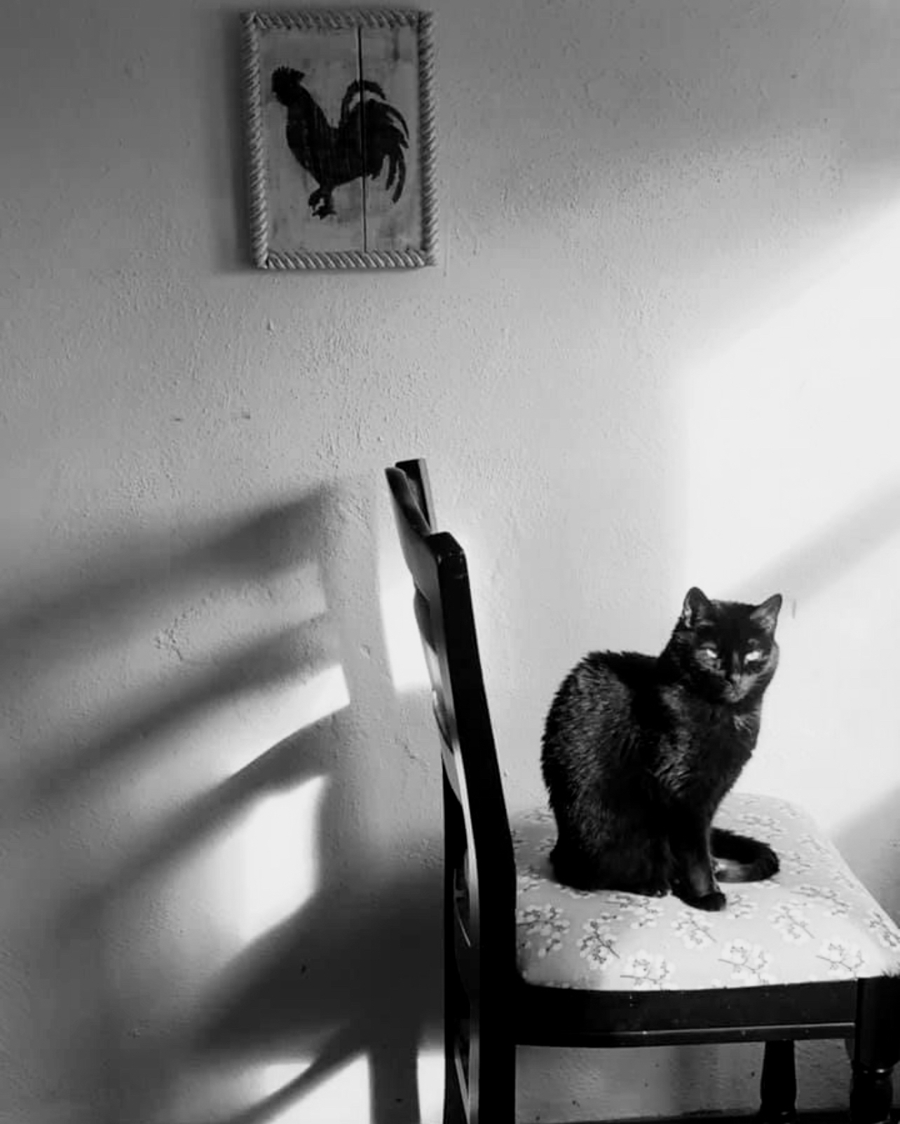 user avatar image for Heather Camp