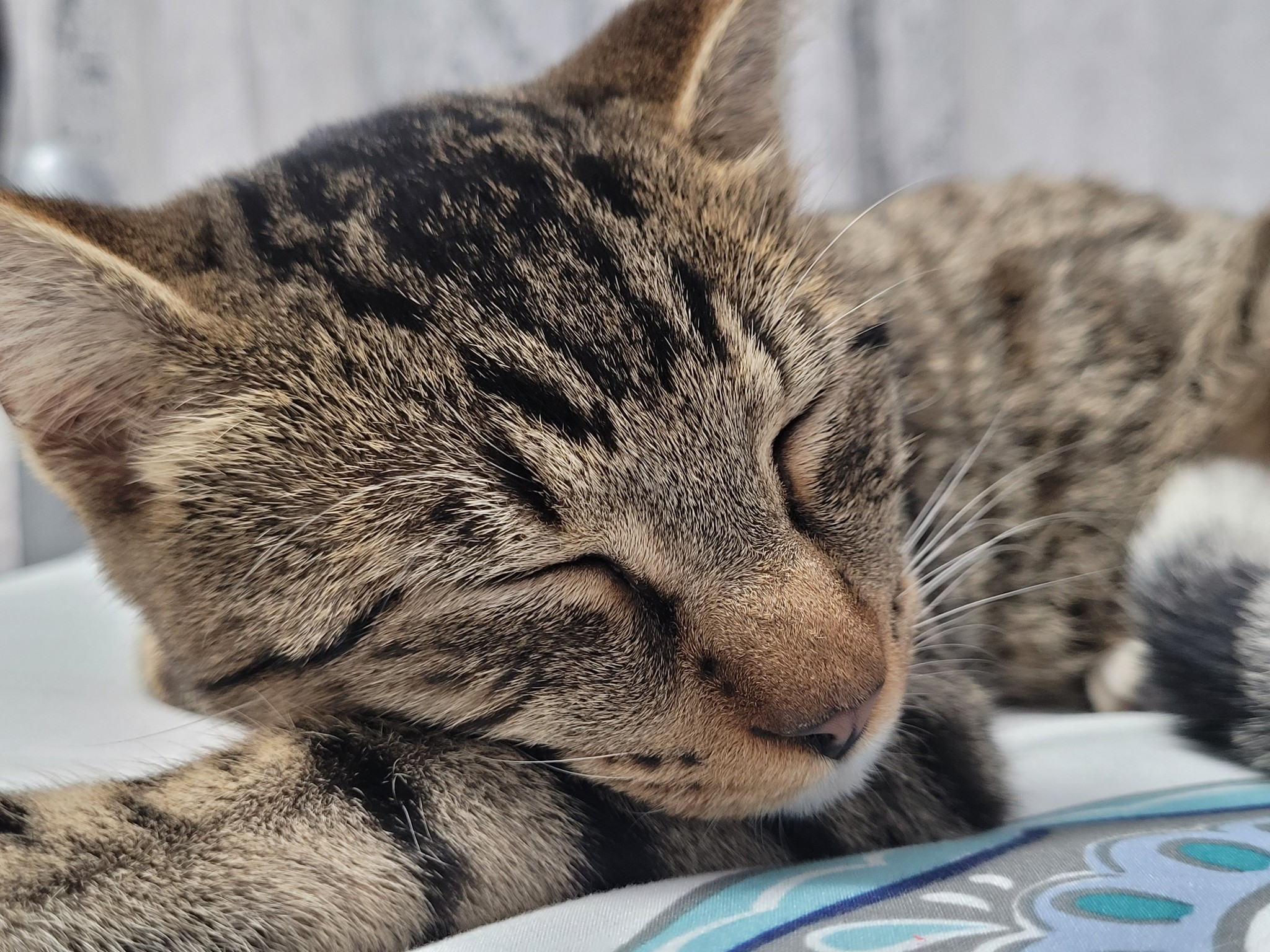 user avatar image for Jason MV