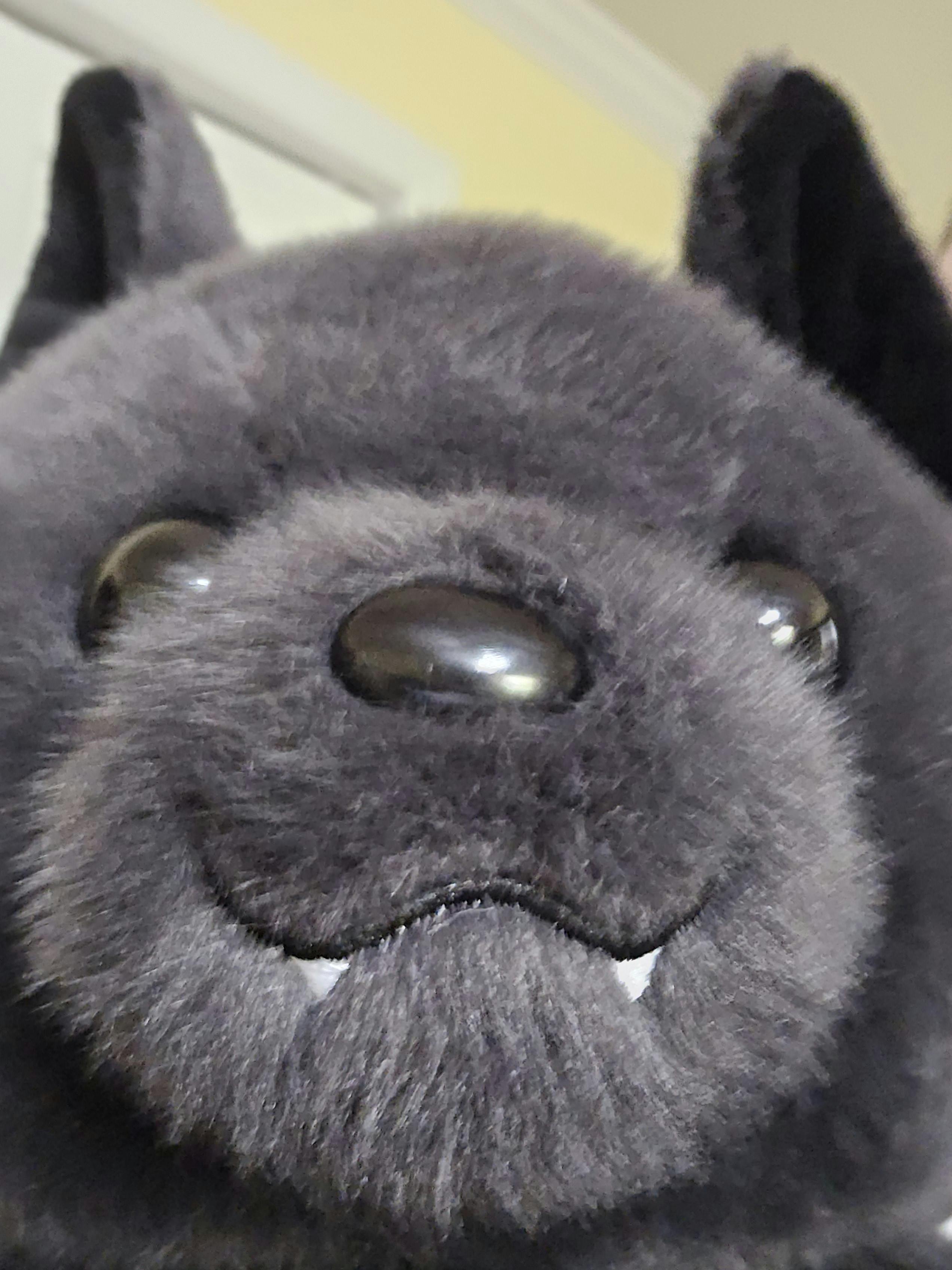 user avatar image for mjcurtis22