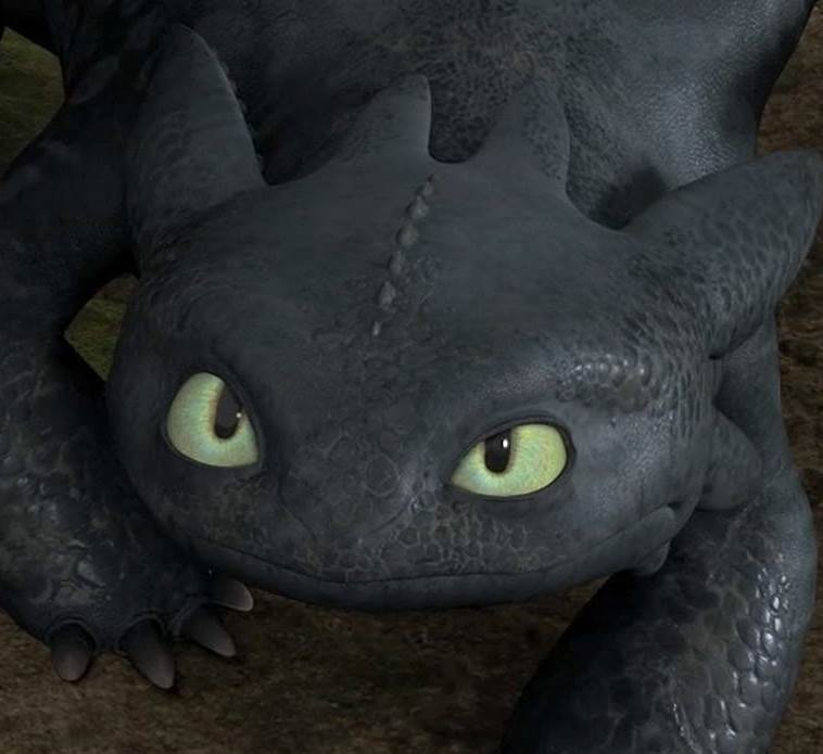 user avatar image for Xeirix