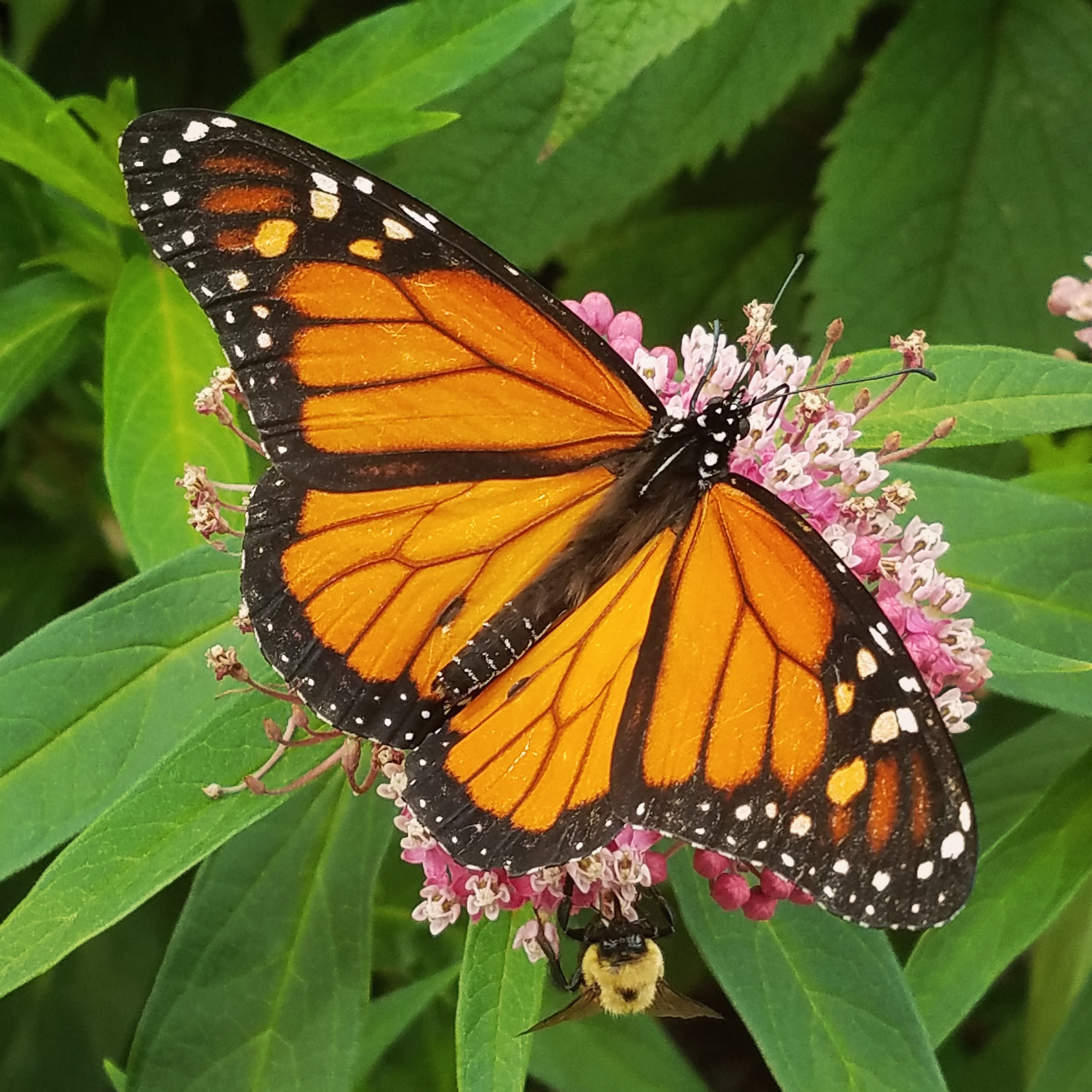 user avatar image for Miranda Riddle