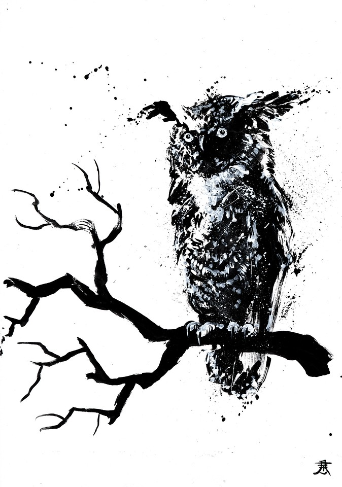 user avatar image for Dougal Cochrane