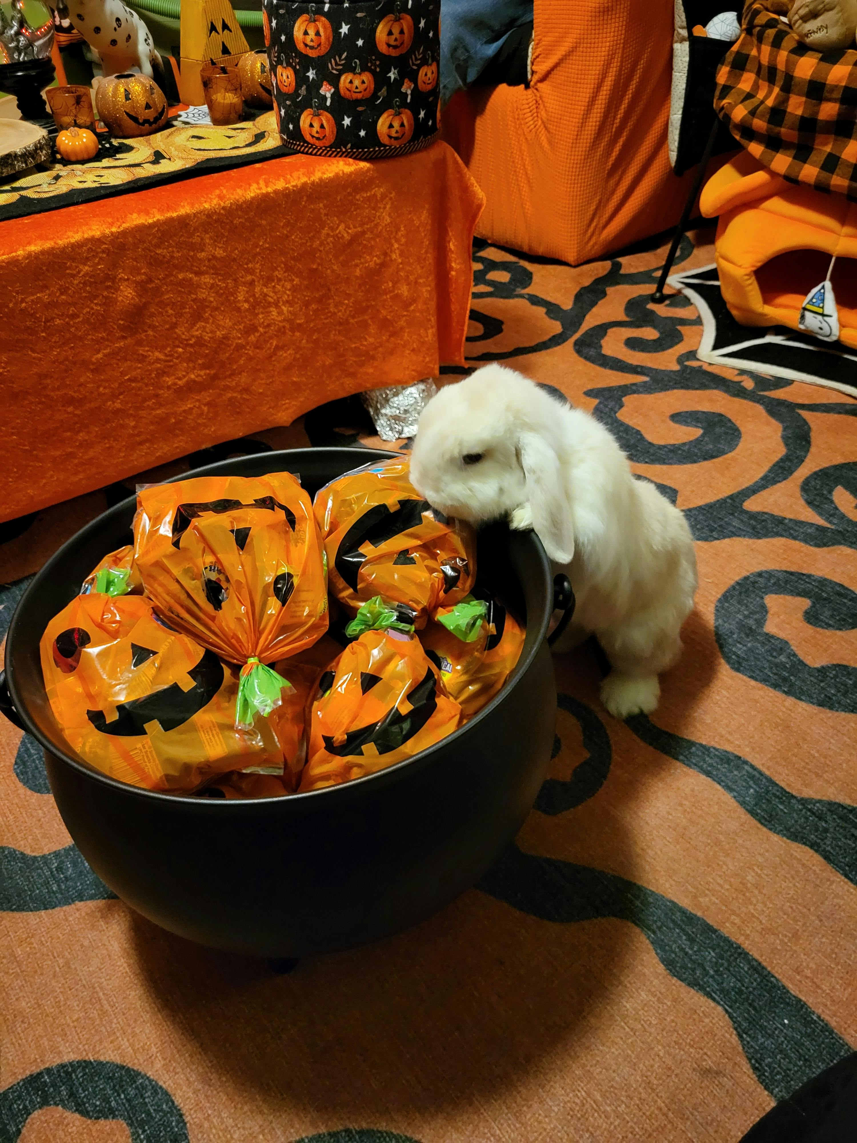 user avatar image for emily