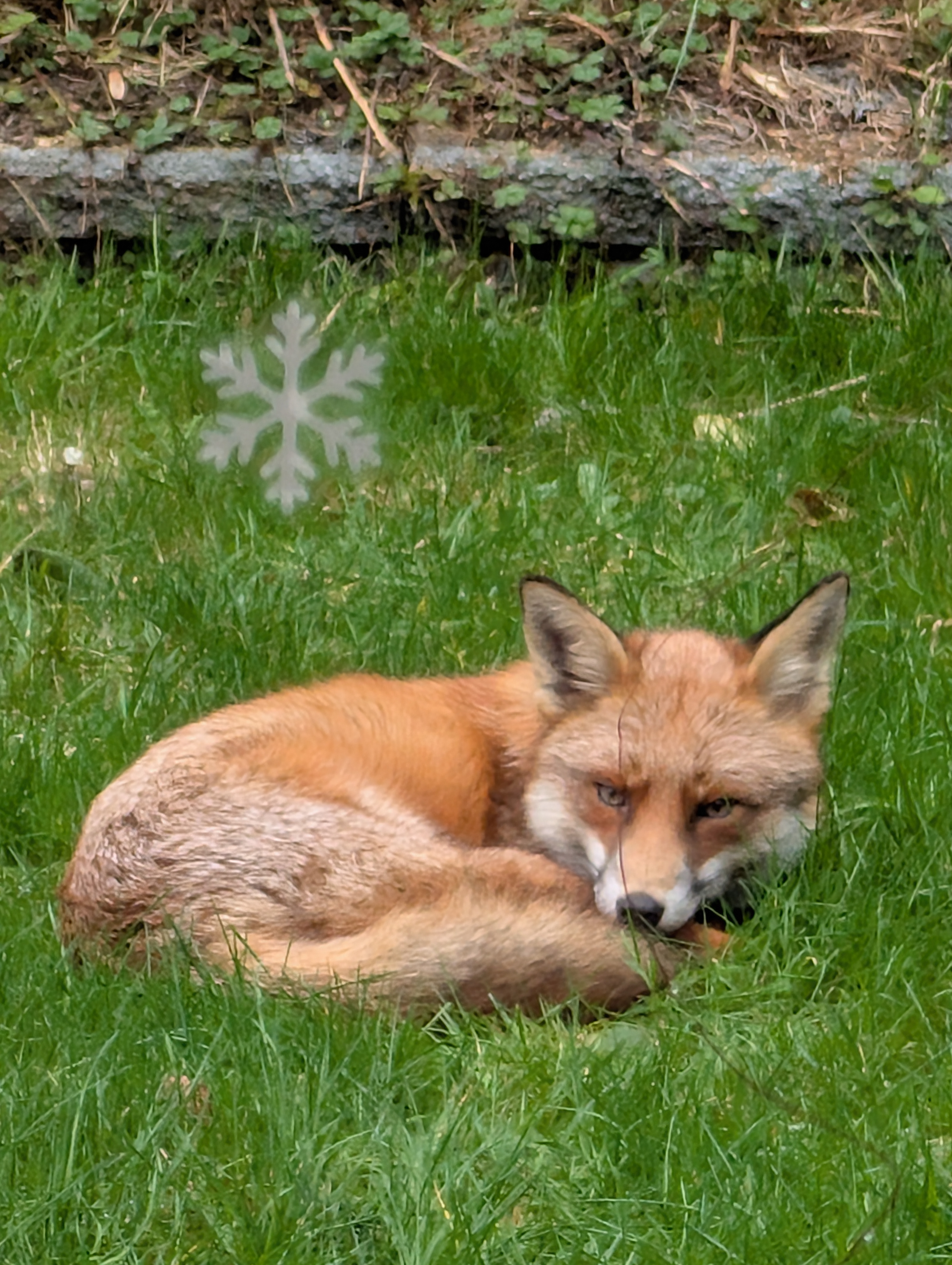 user avatar image for scott 